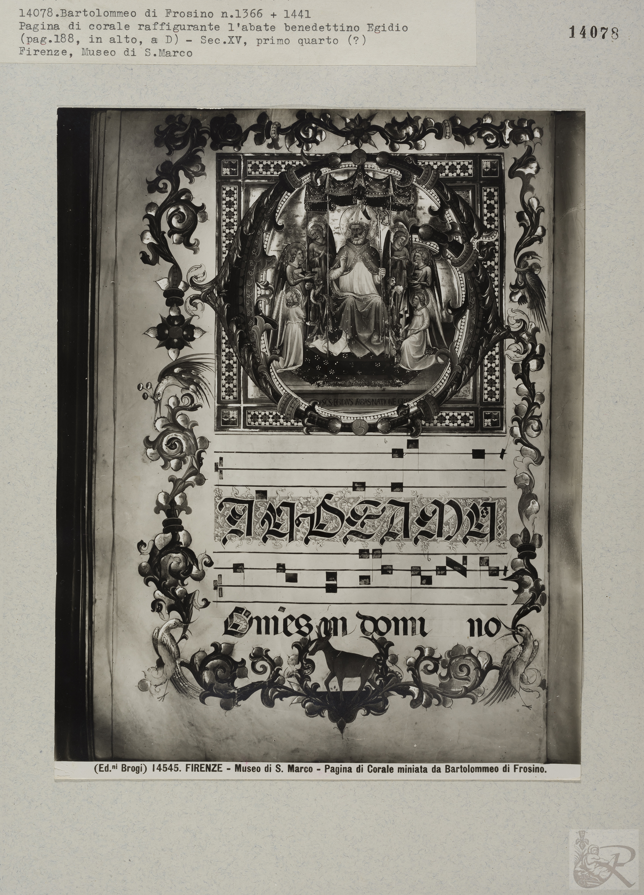 Immagine di anteprima