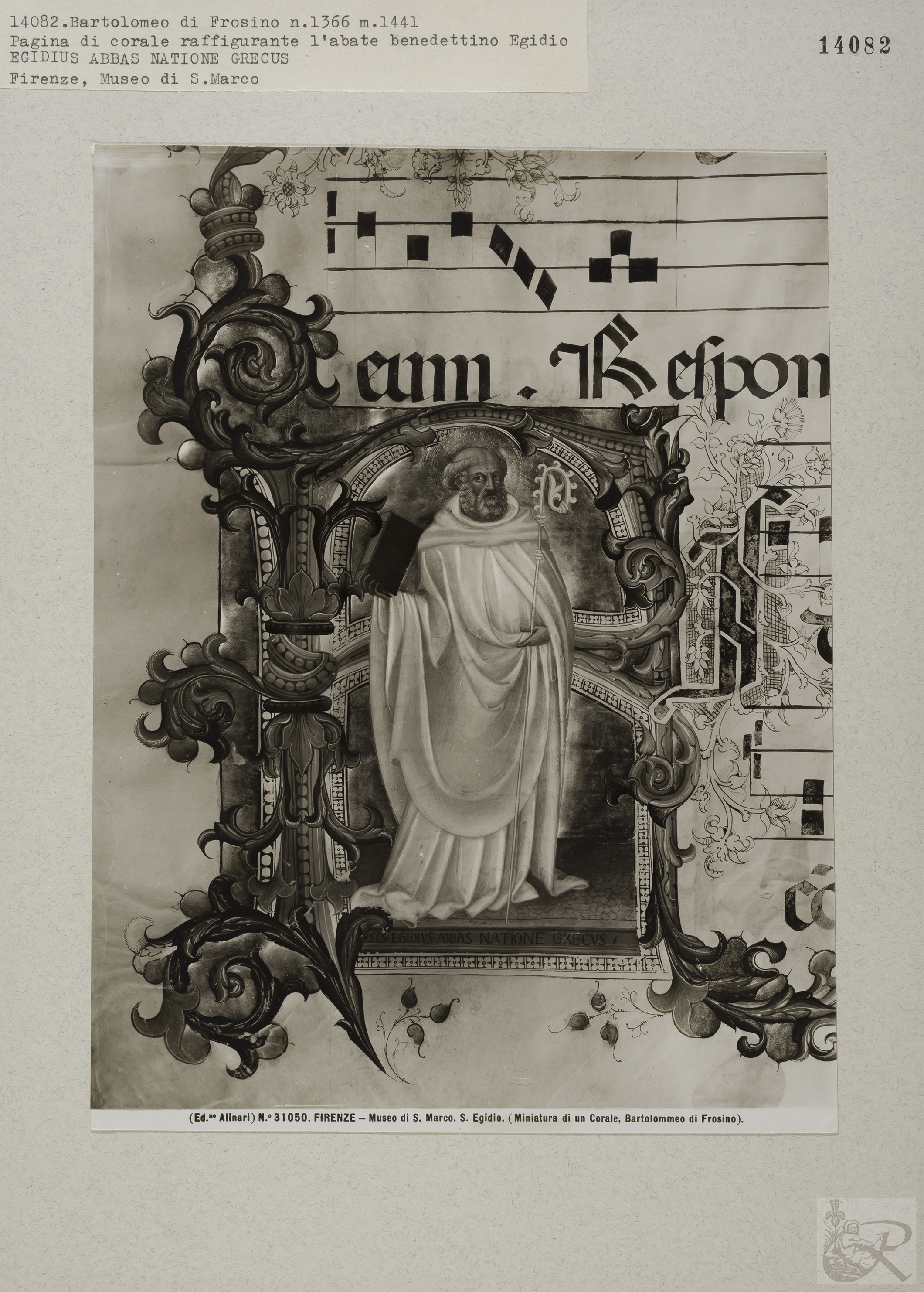 Immagine di anteprima