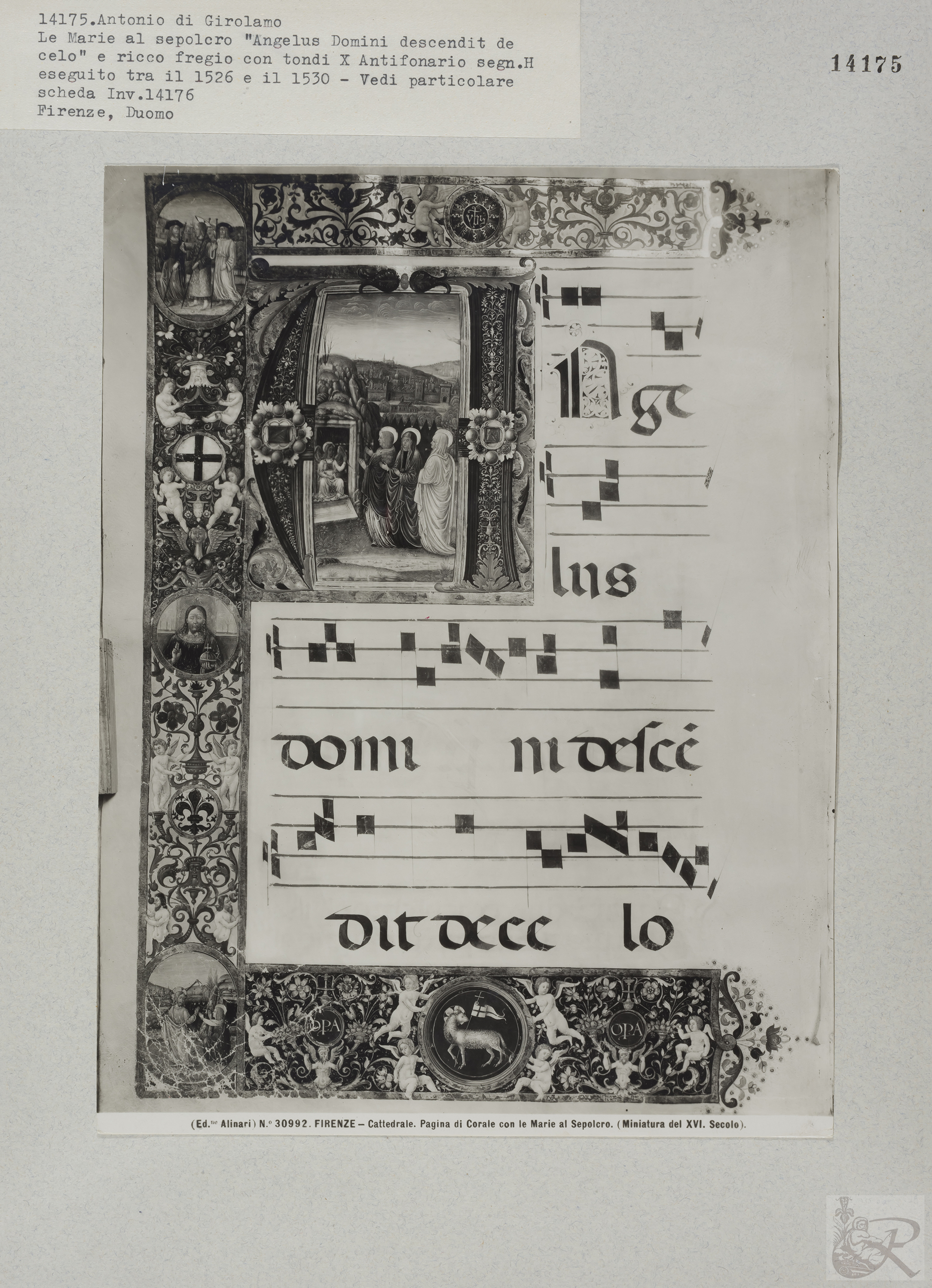 Immagine di anteprima