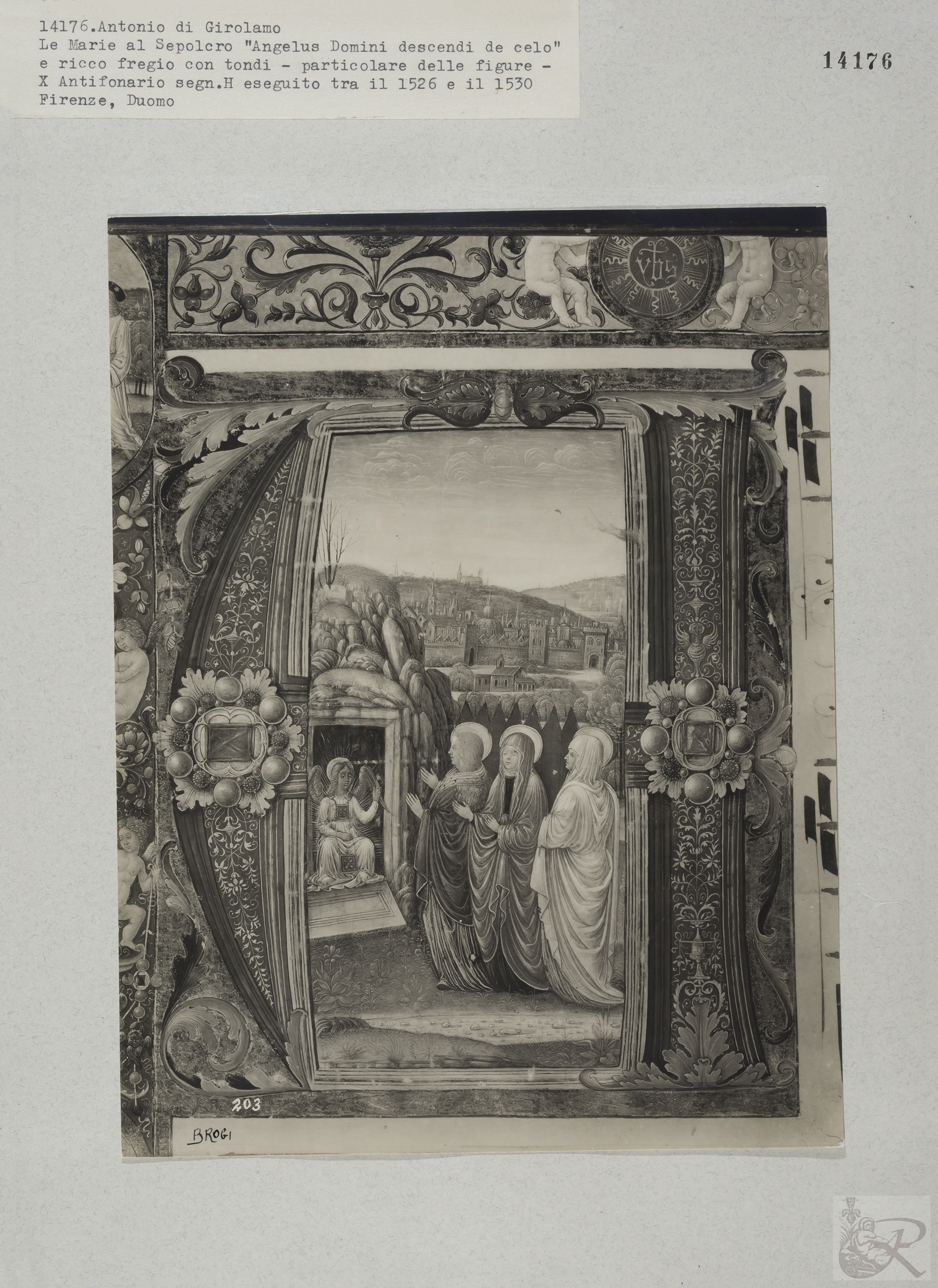 Immagine di anteprima