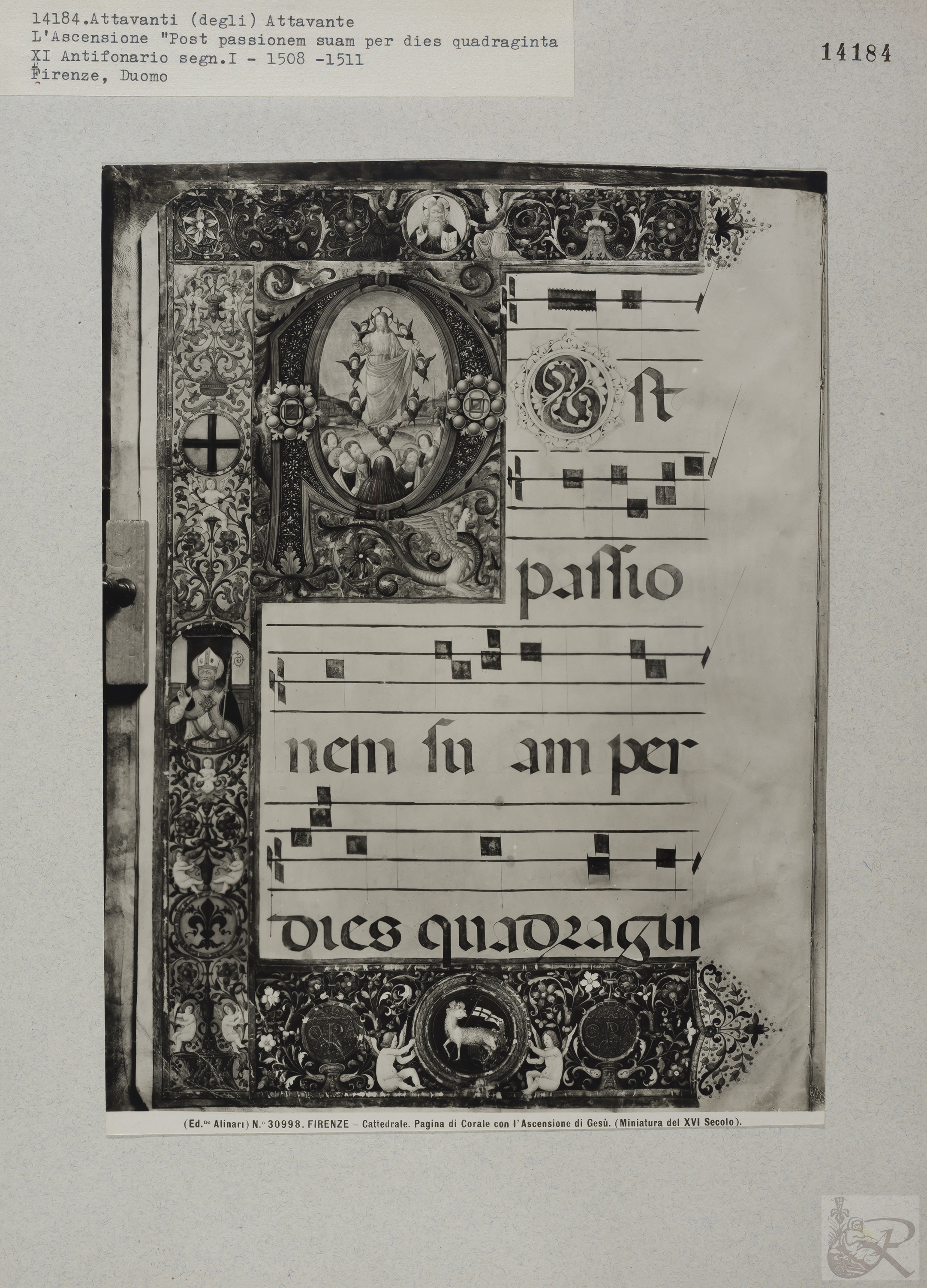 Immagine di anteprima