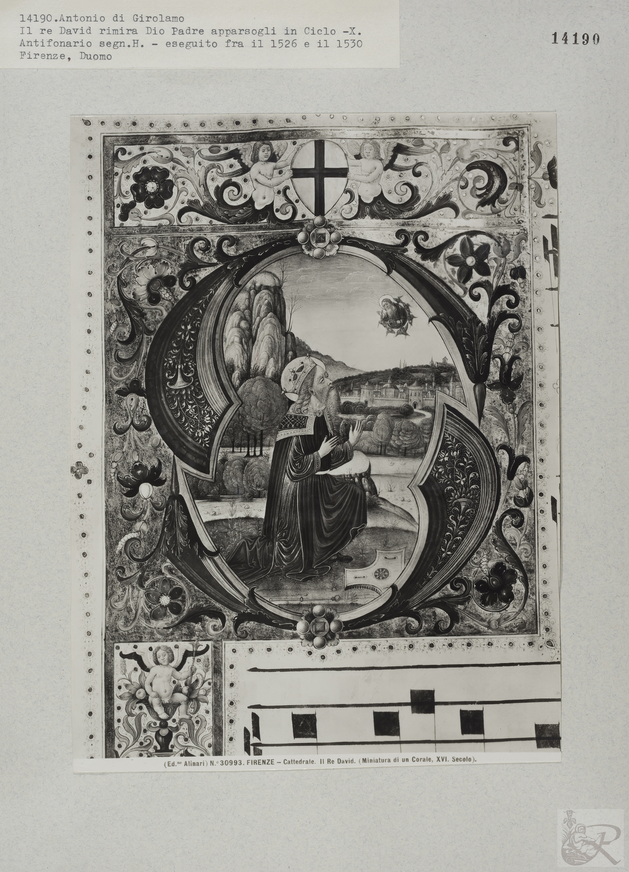 Immagine di anteprima