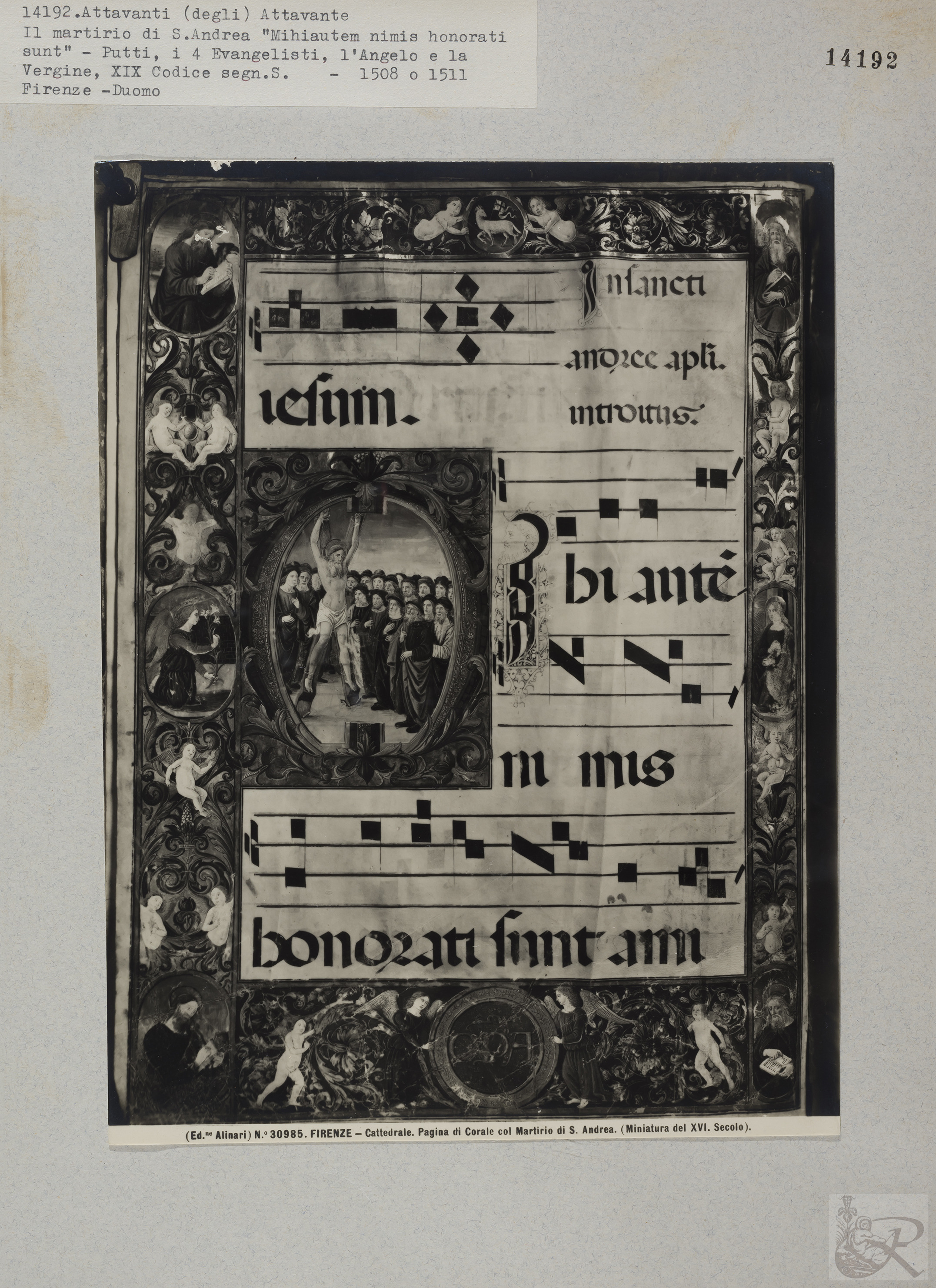 Immagine di anteprima