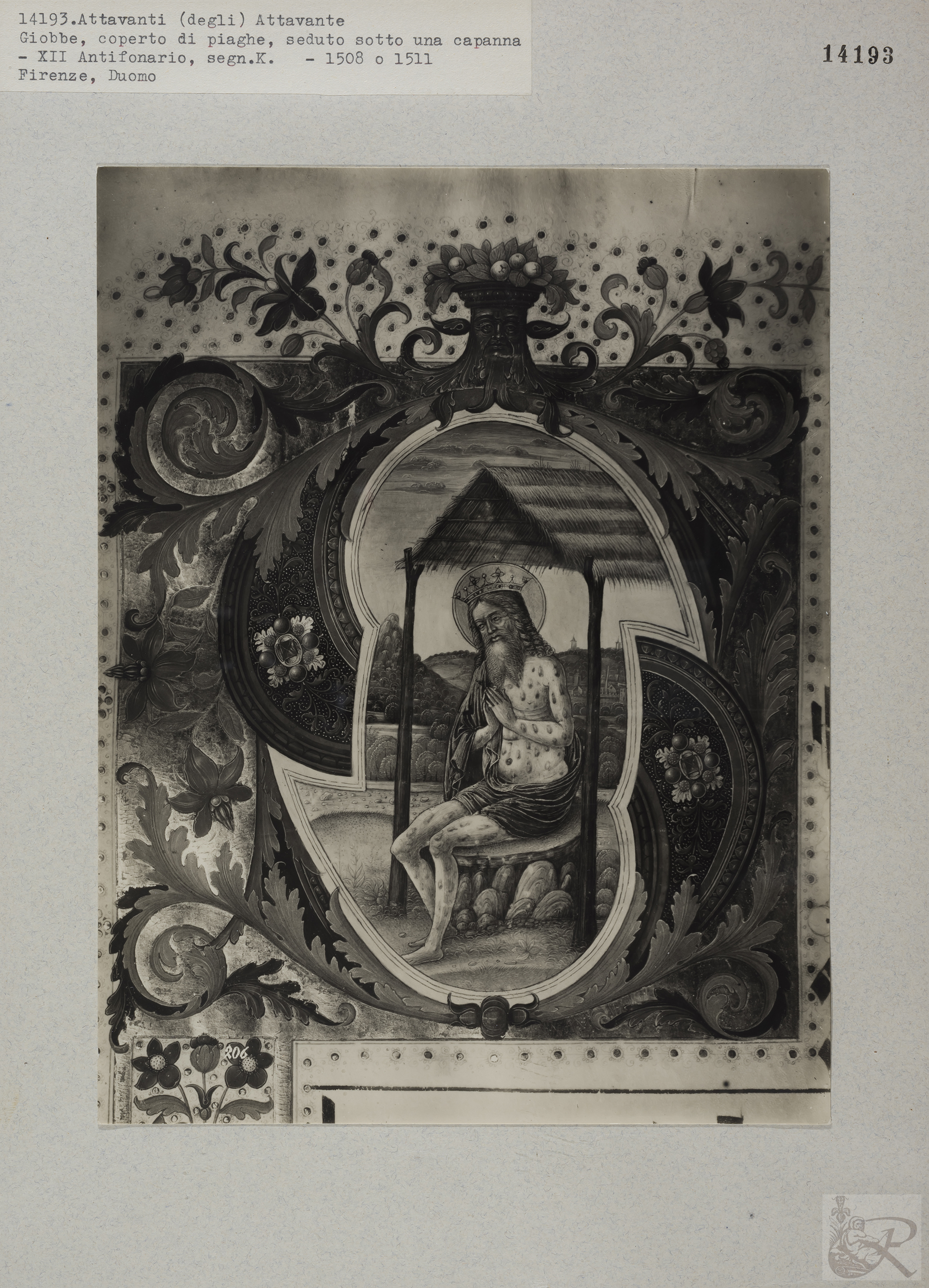 Immagine di anteprima