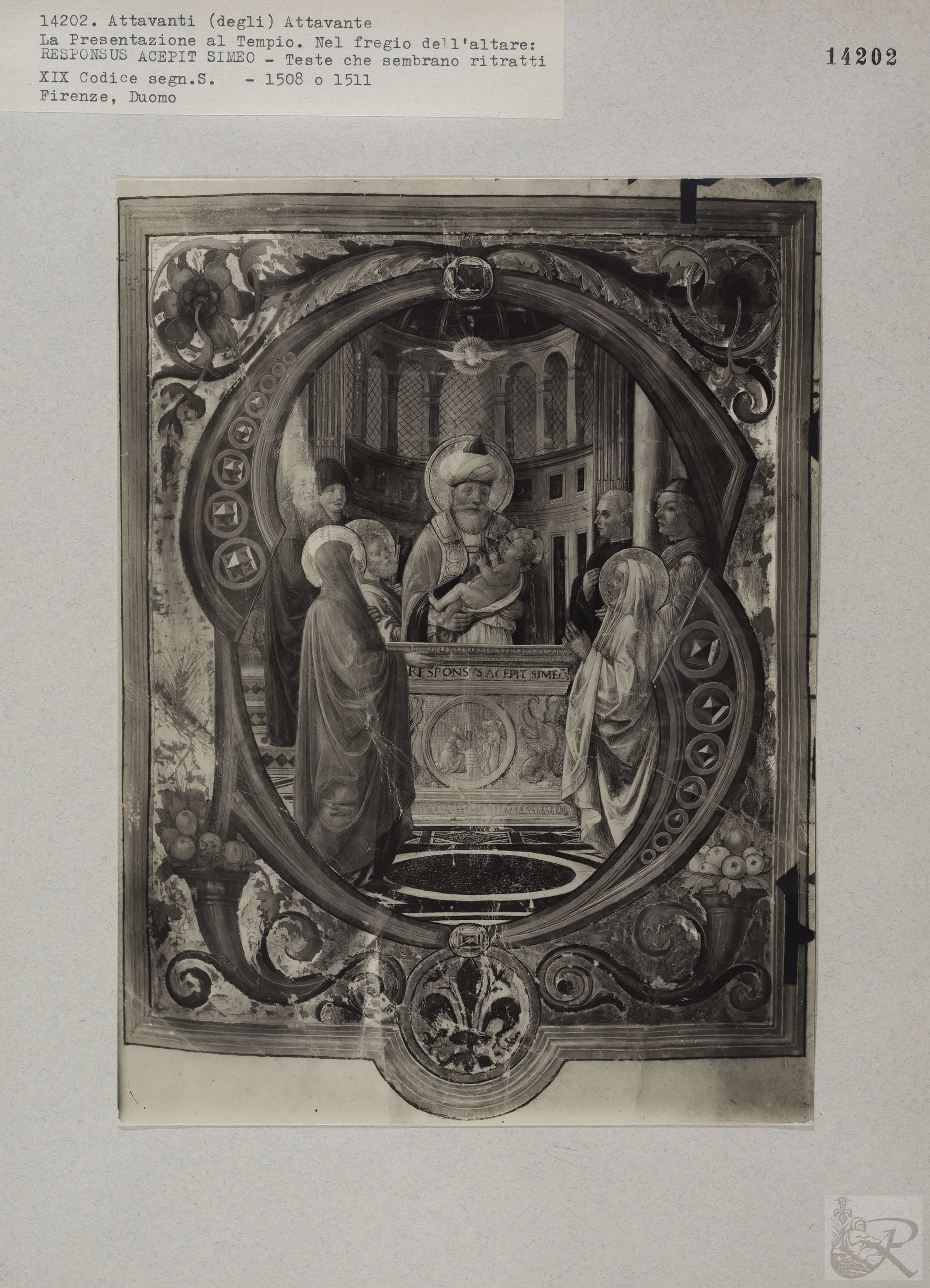 Immagine di anteprima