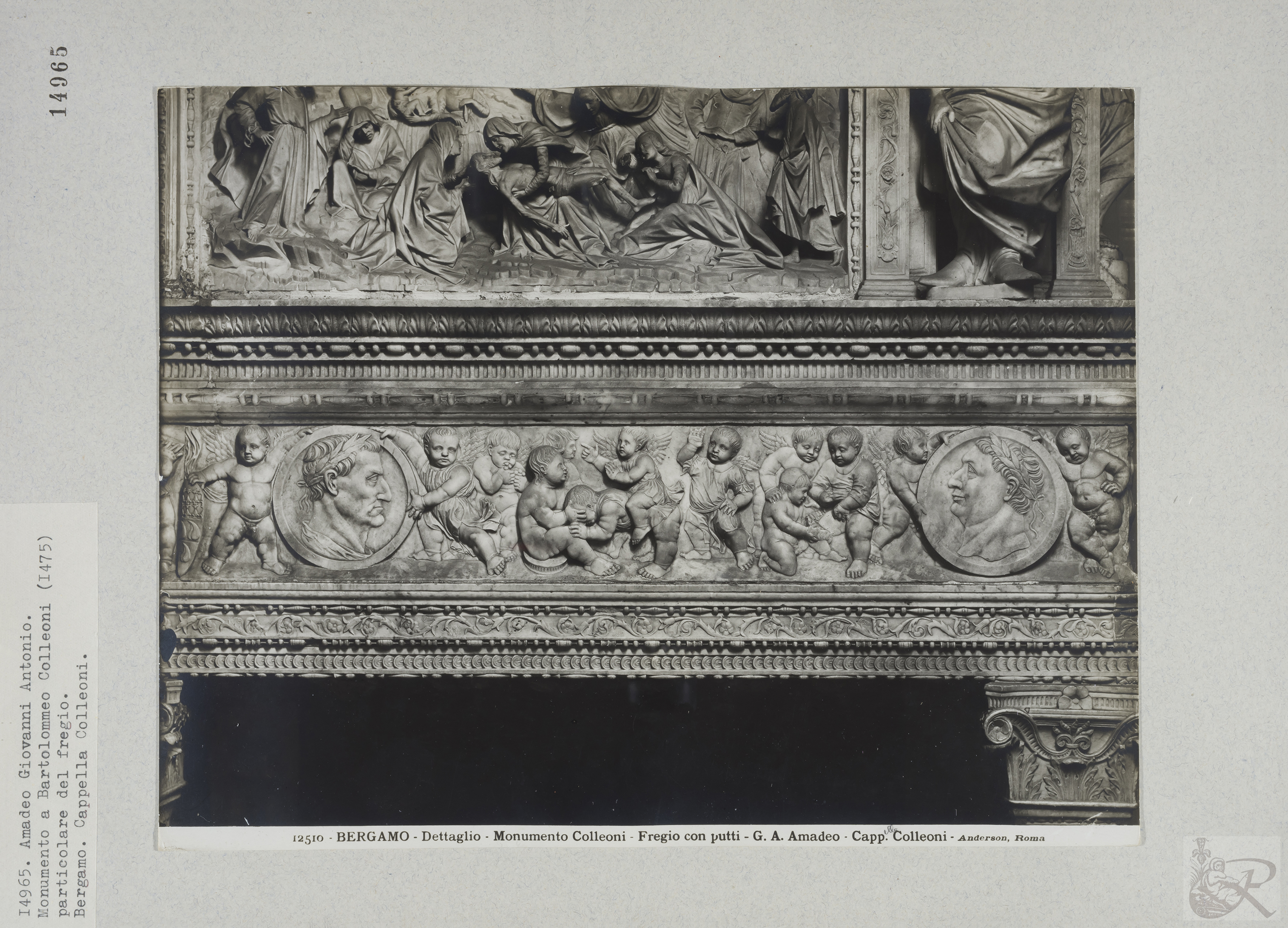 Immagine di anteprima