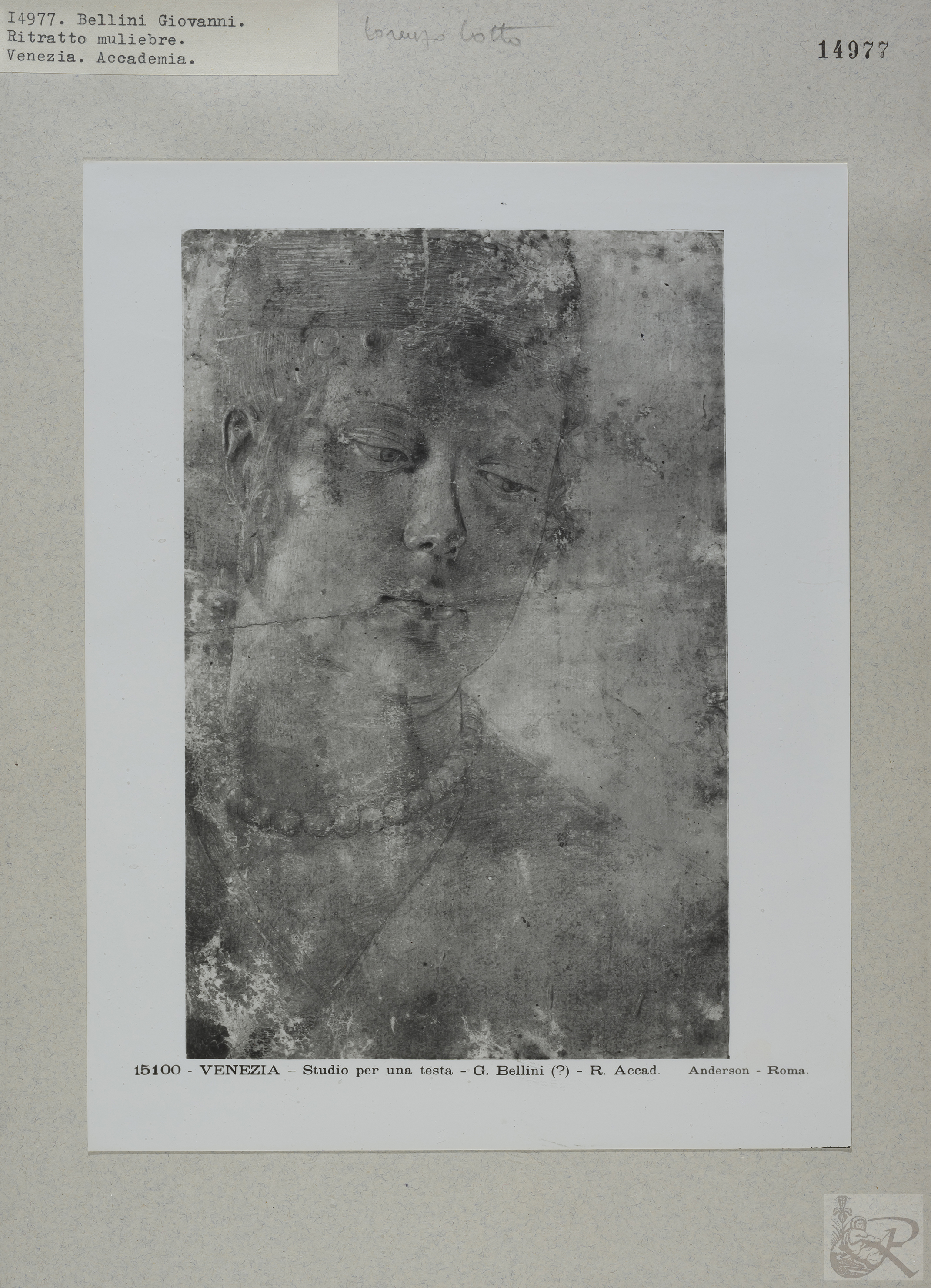 Immagine di anteprima