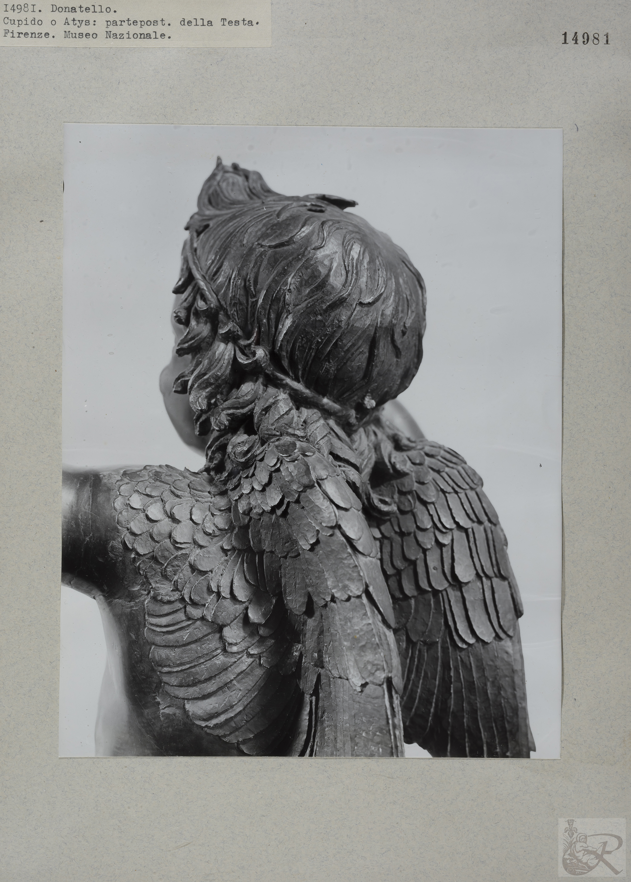 Immagine di anteprima