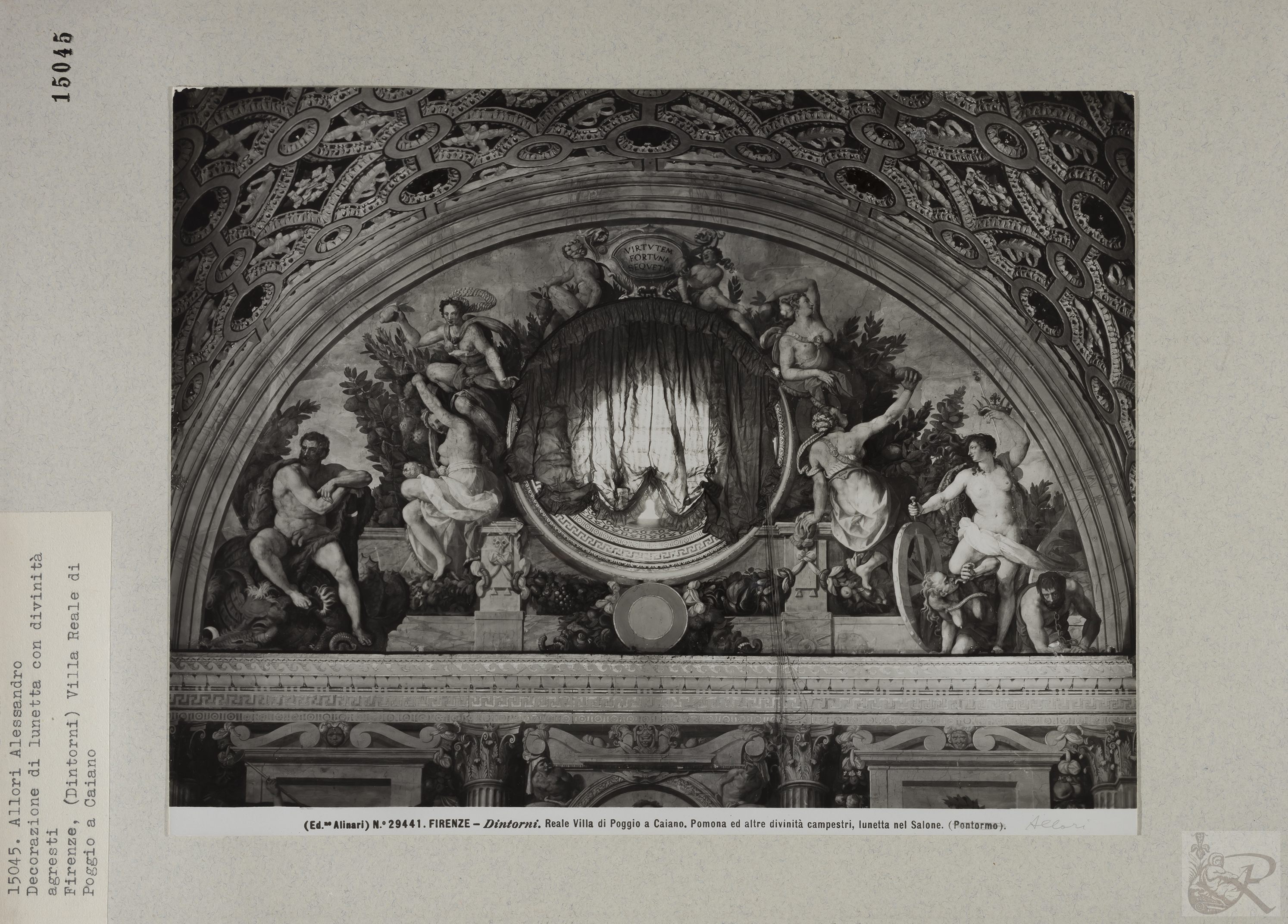 Immagine di anteprima