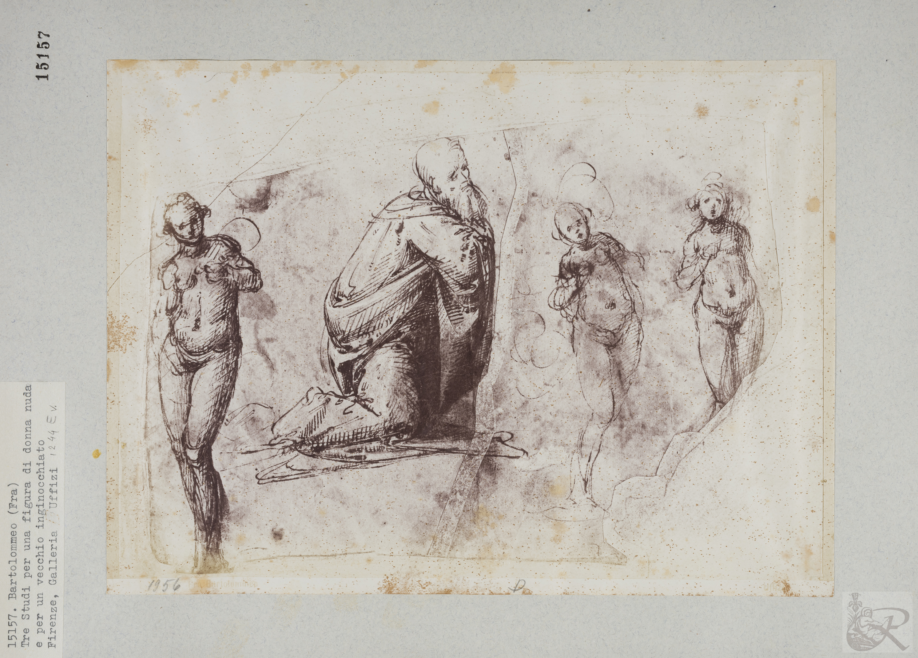 Immagine di anteprima