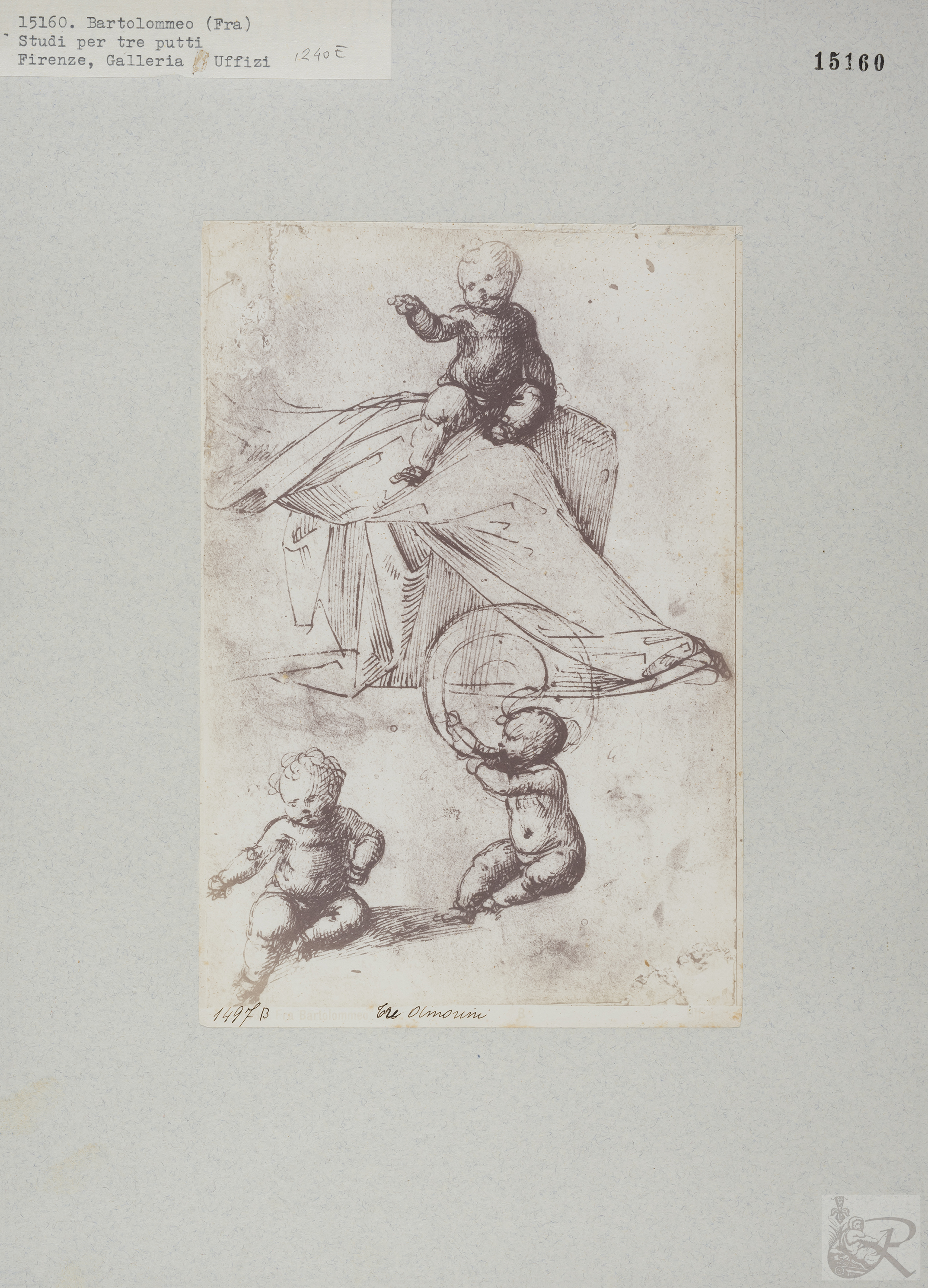 Immagine di anteprima