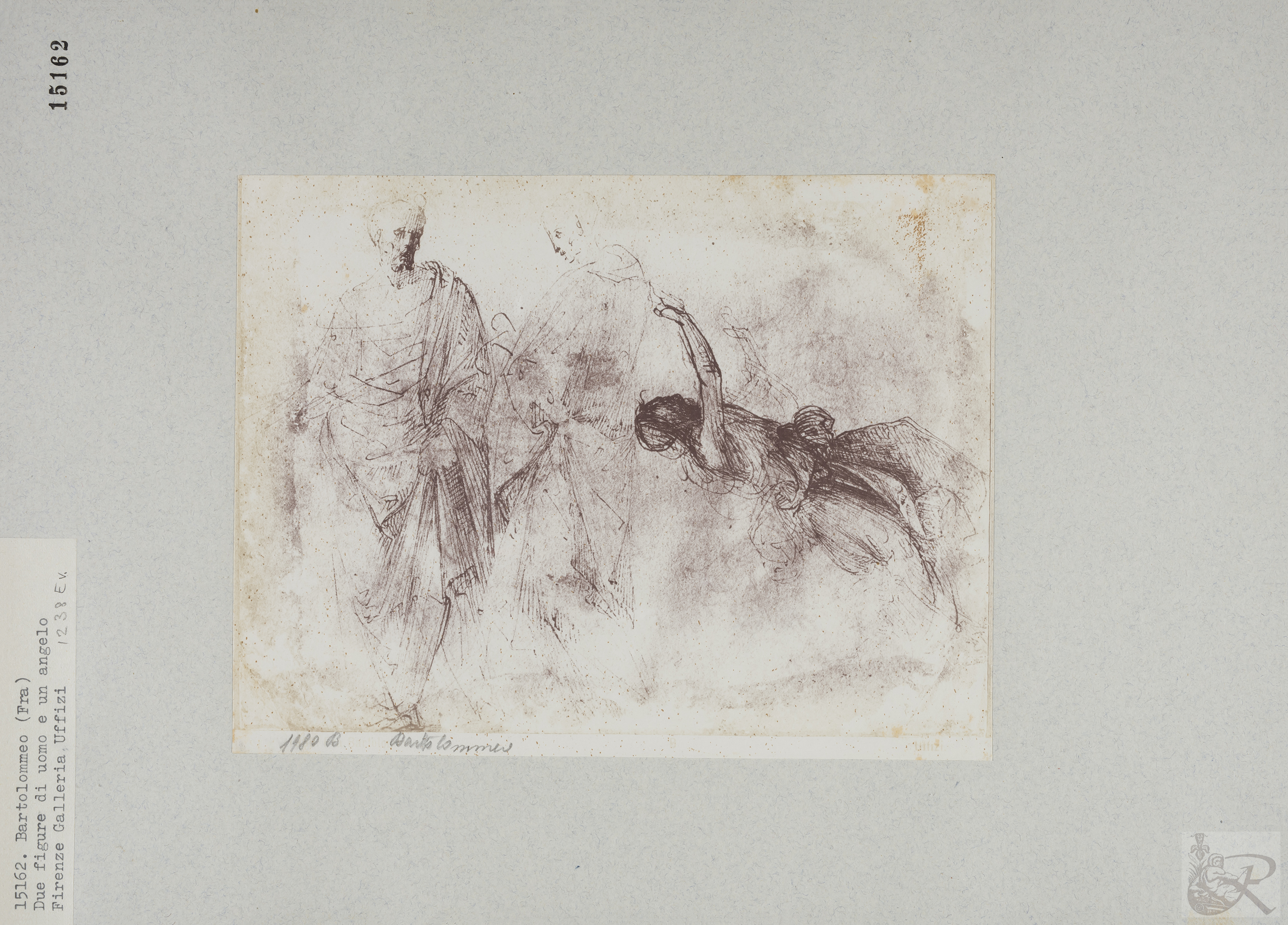 Immagine di anteprima