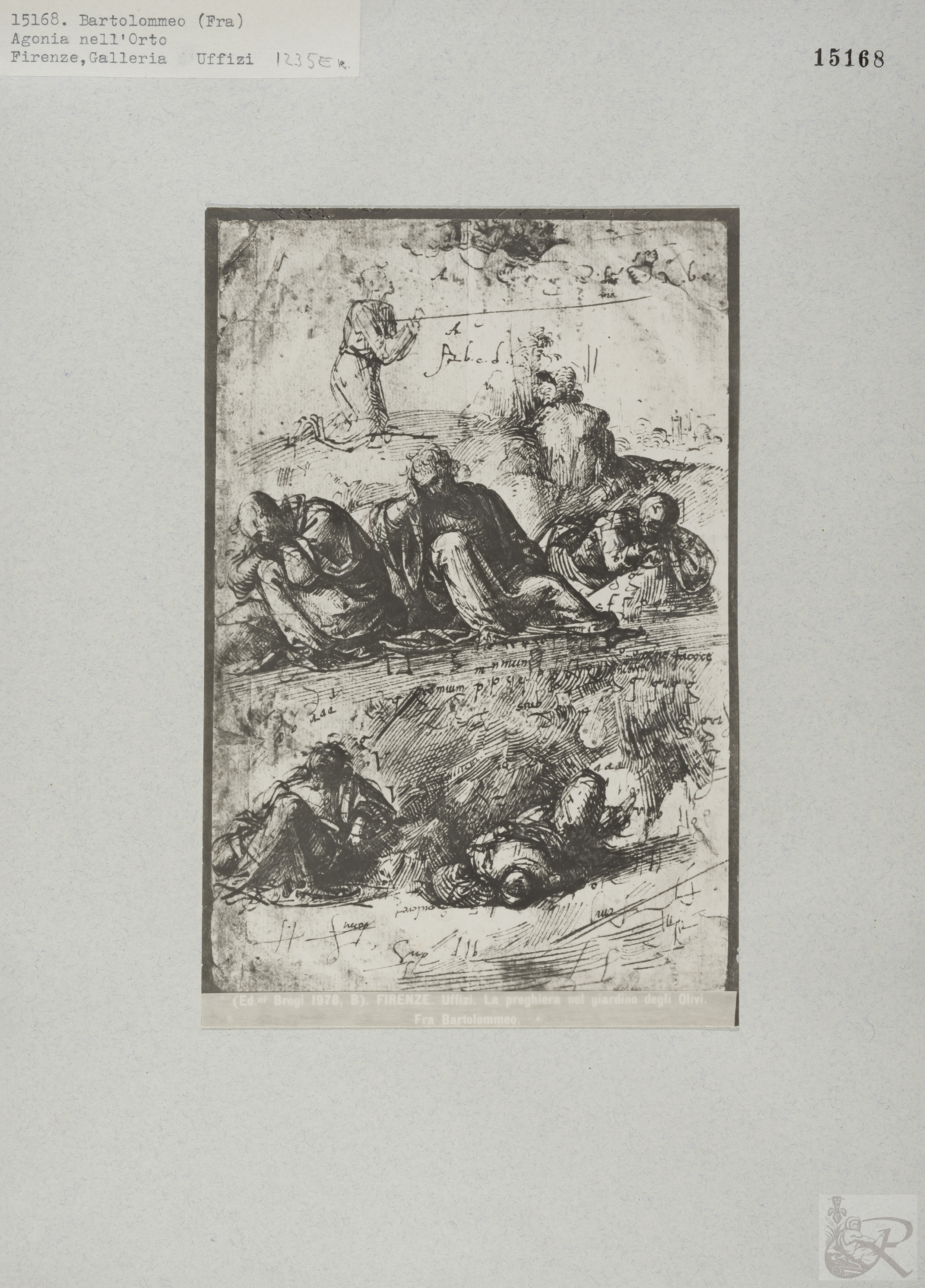 Immagine di anteprima