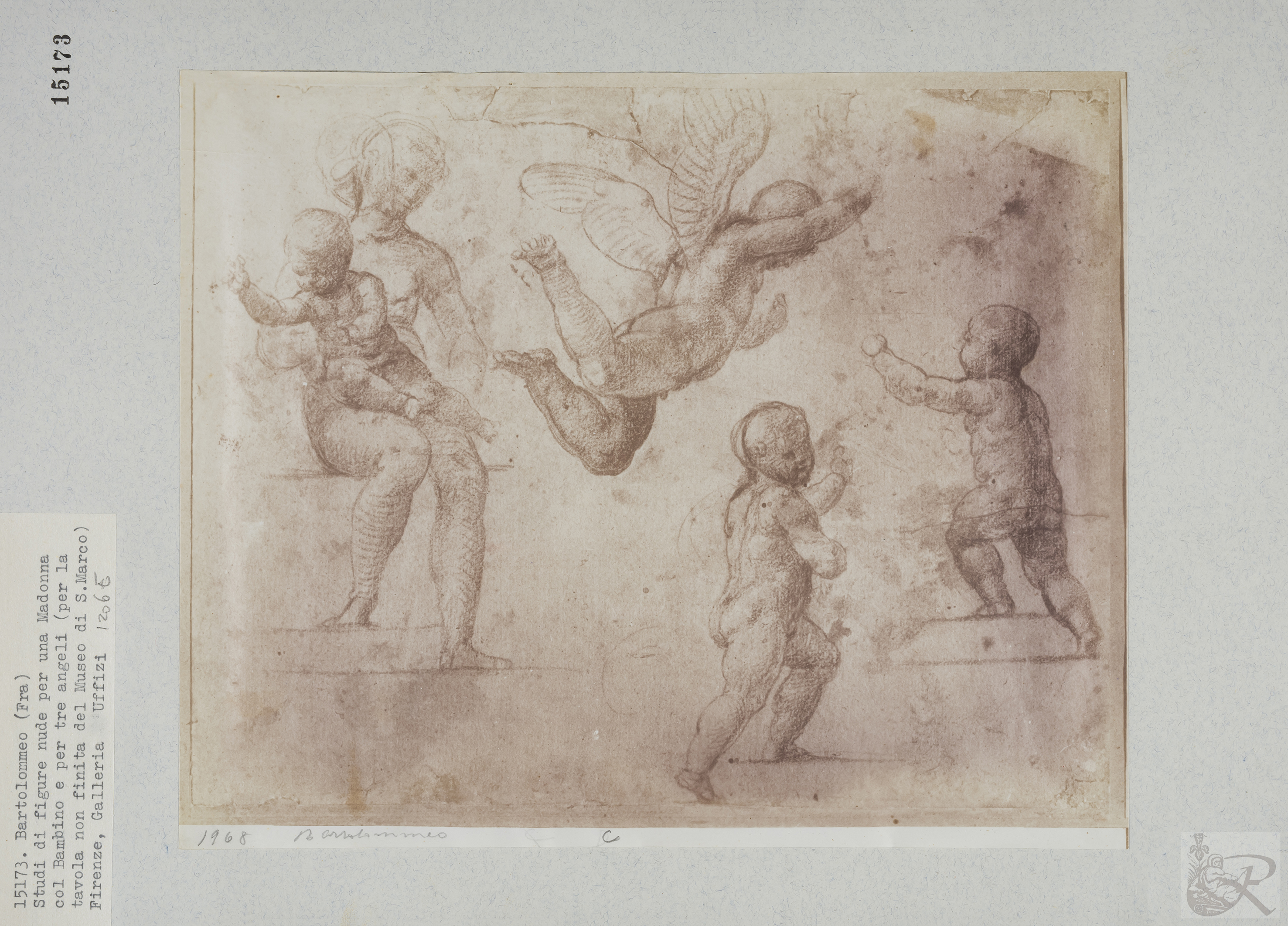 Immagine di anteprima