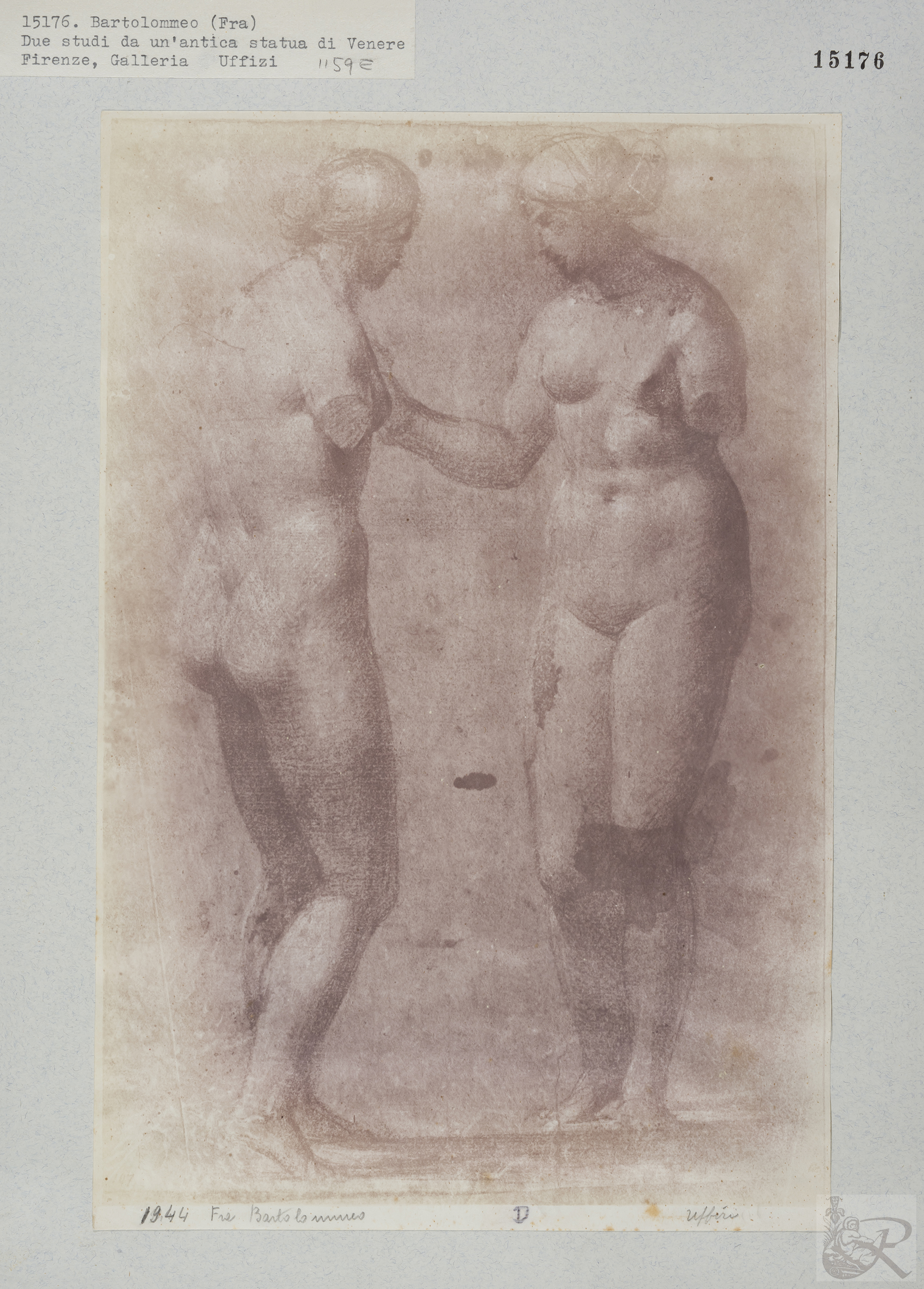 Immagine di anteprima