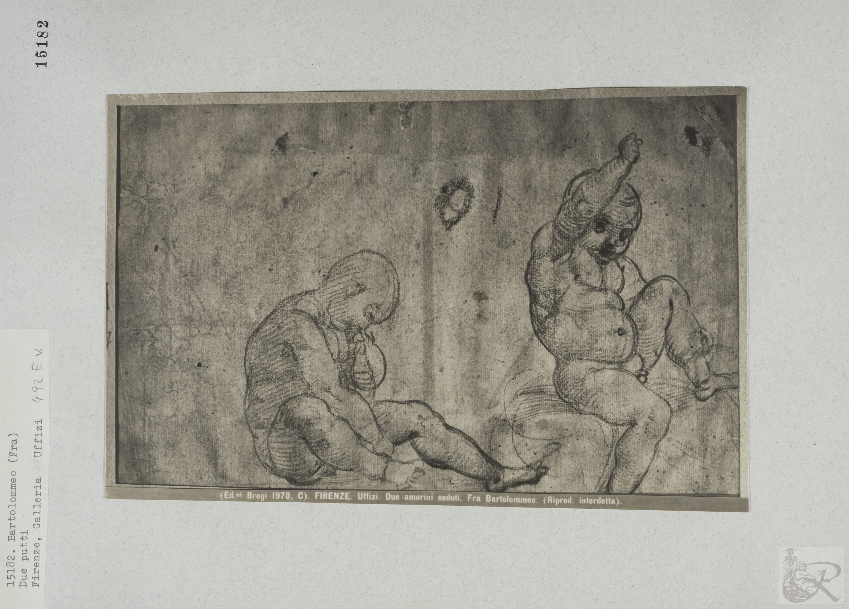 Immagine di anteprima