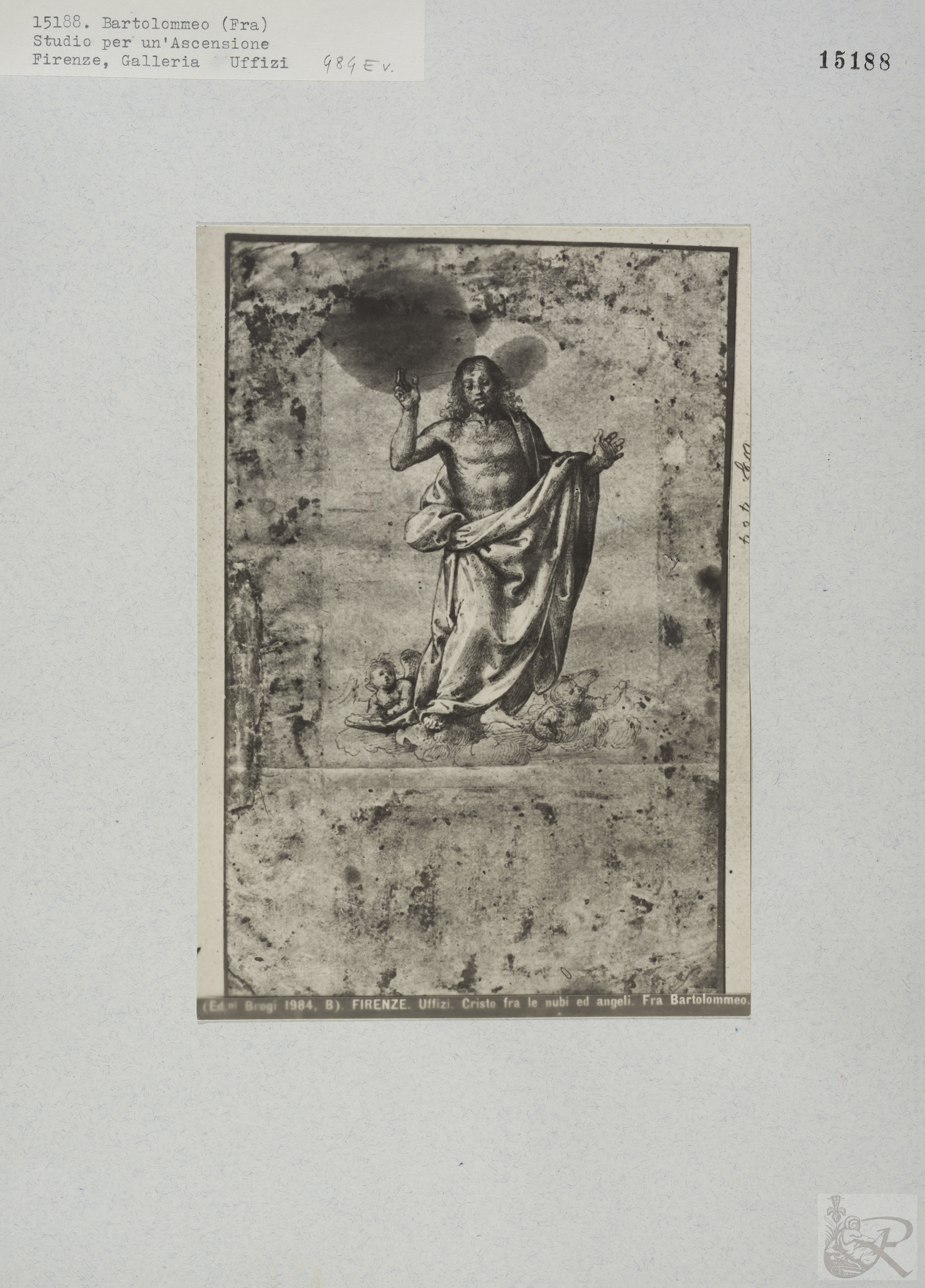 Immagine di anteprima