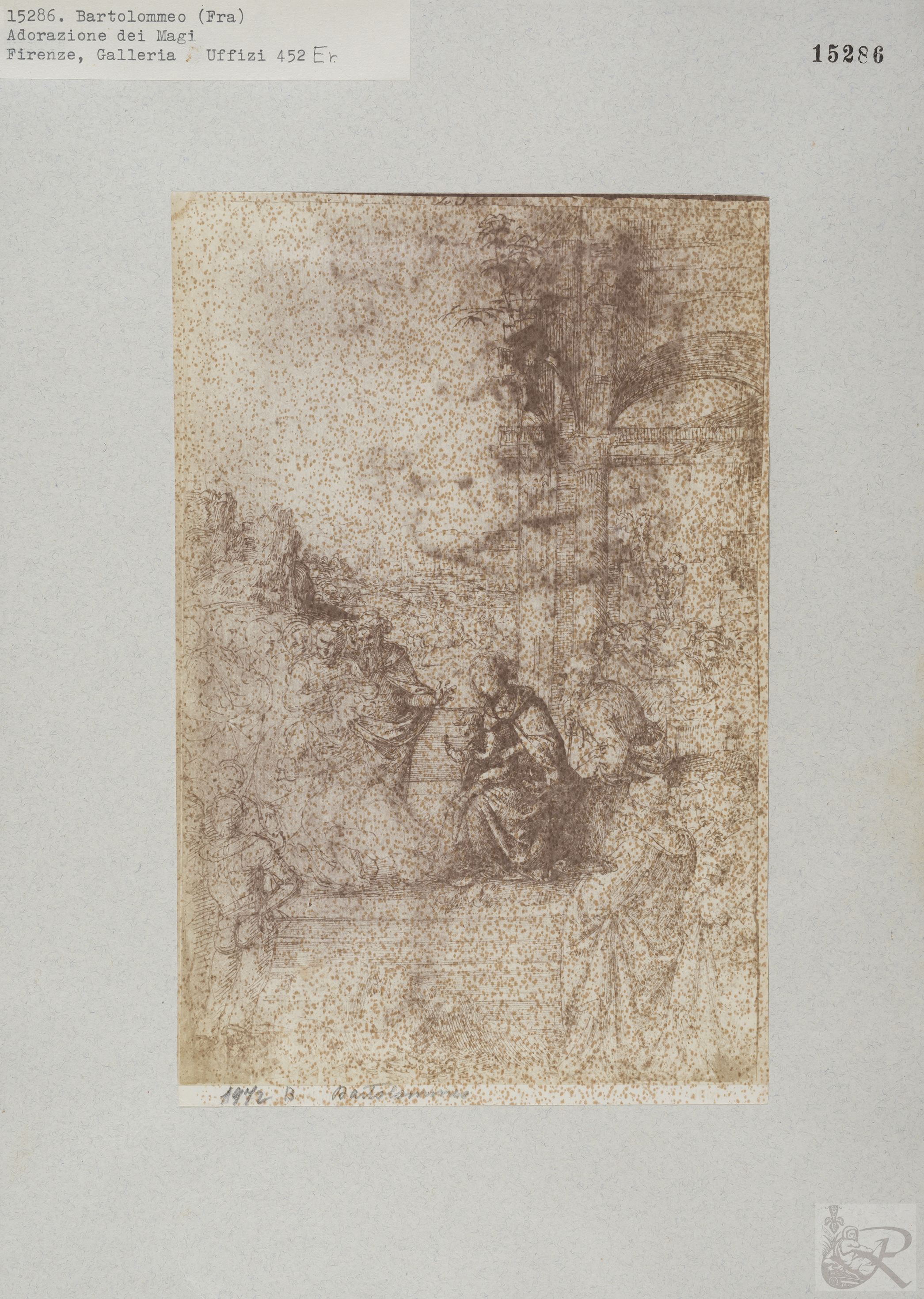 Immagine di anteprima