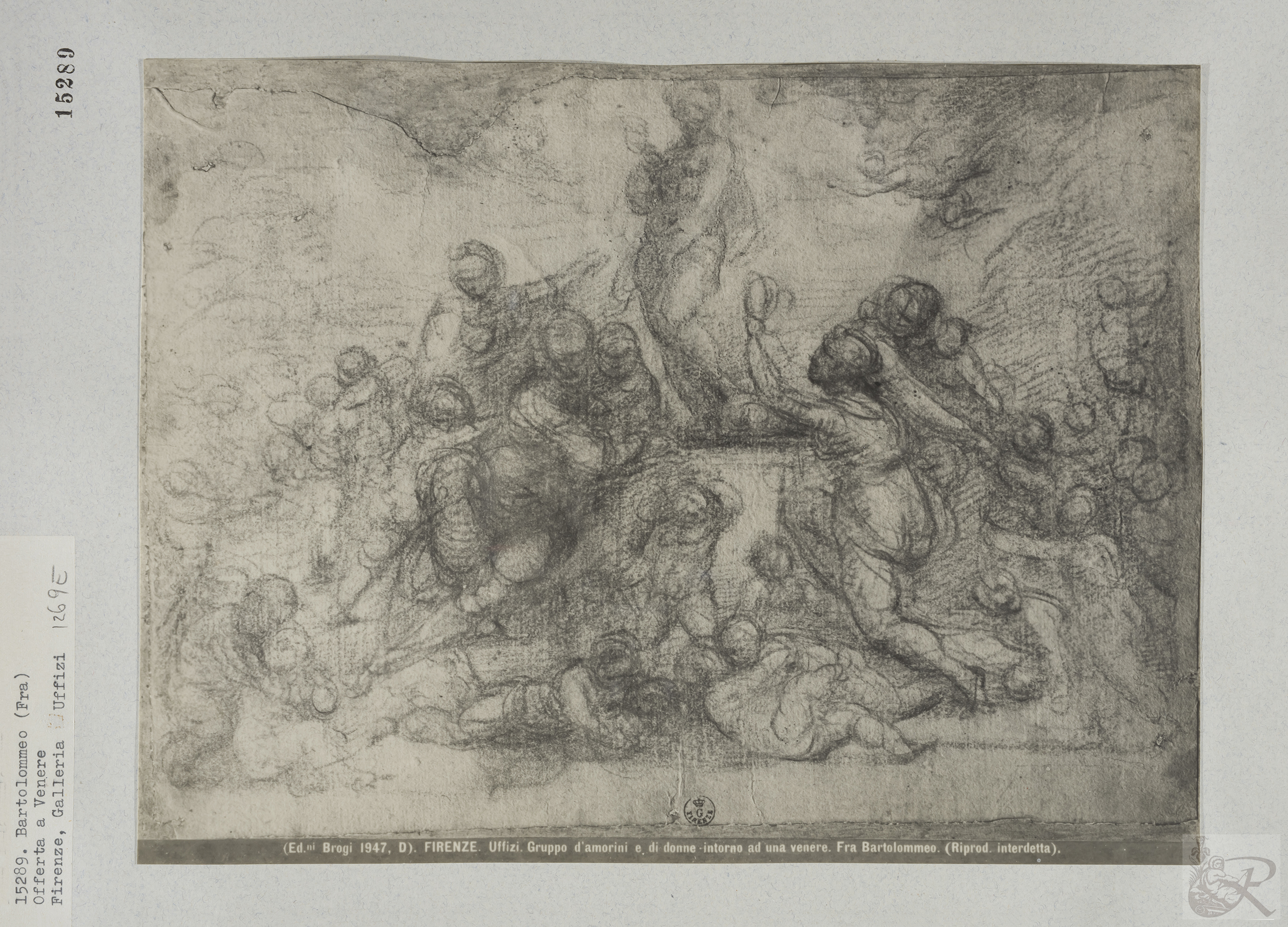 Immagine di anteprima