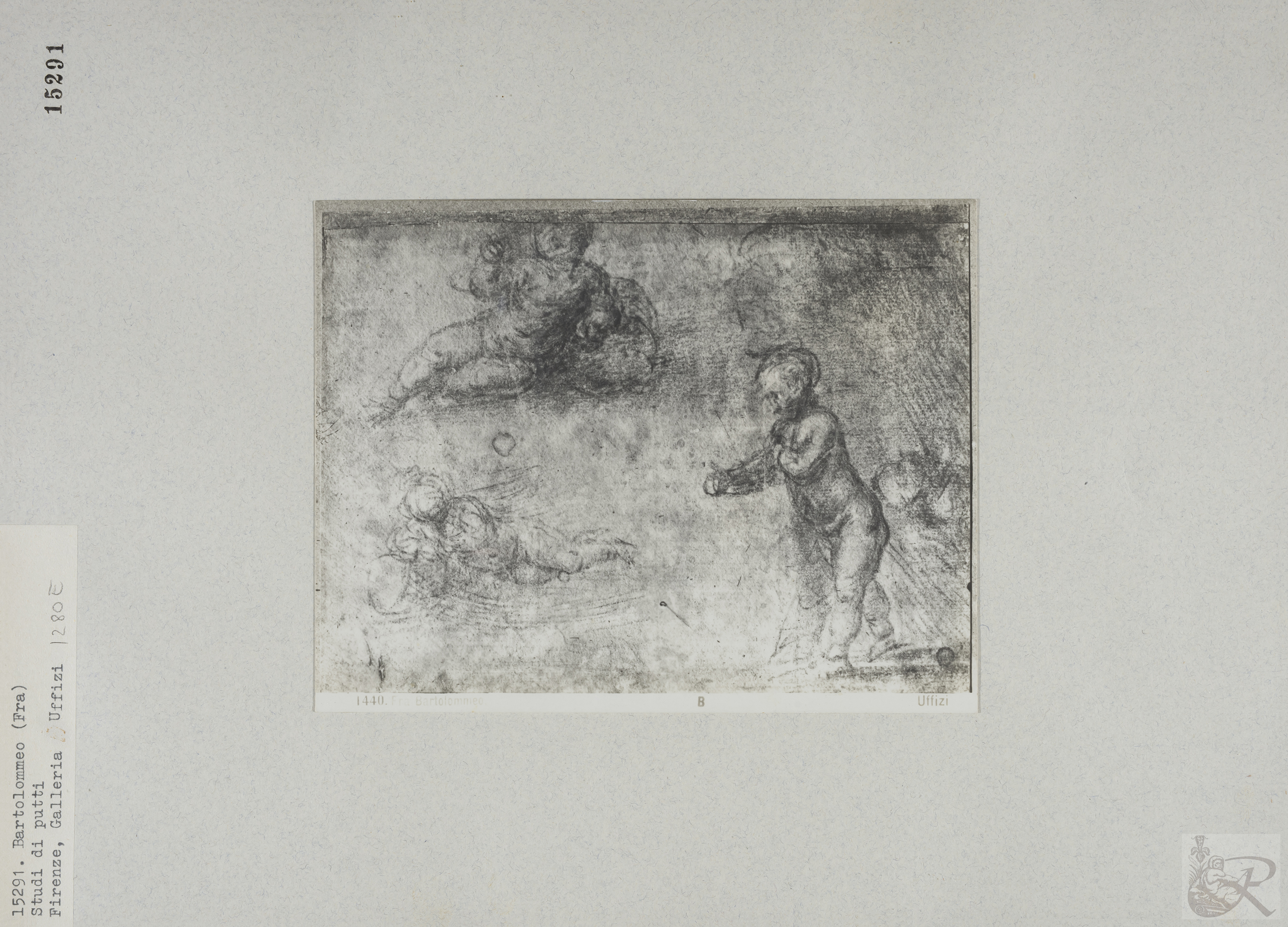 Immagine di anteprima