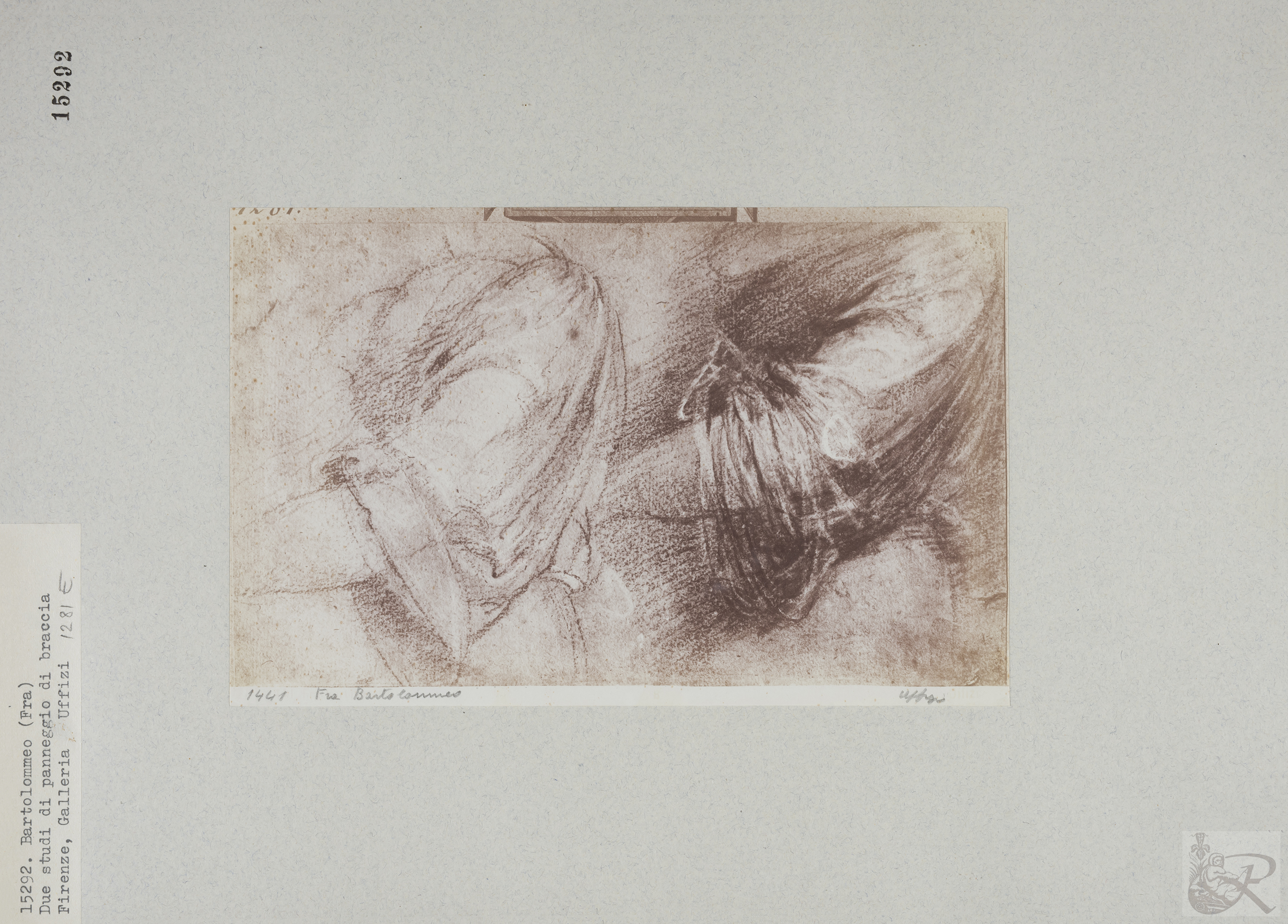 Immagine di anteprima