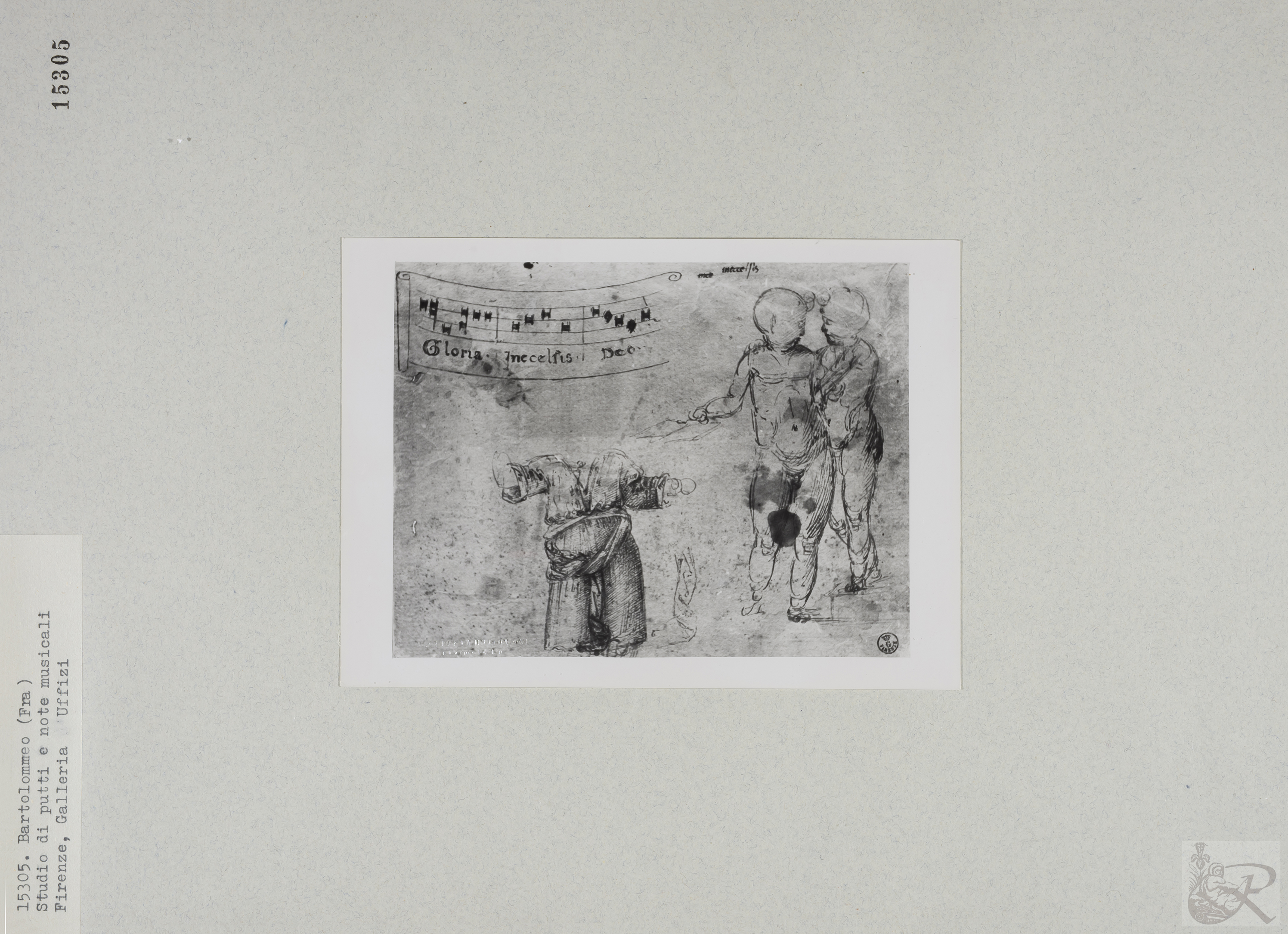 Immagine di anteprima