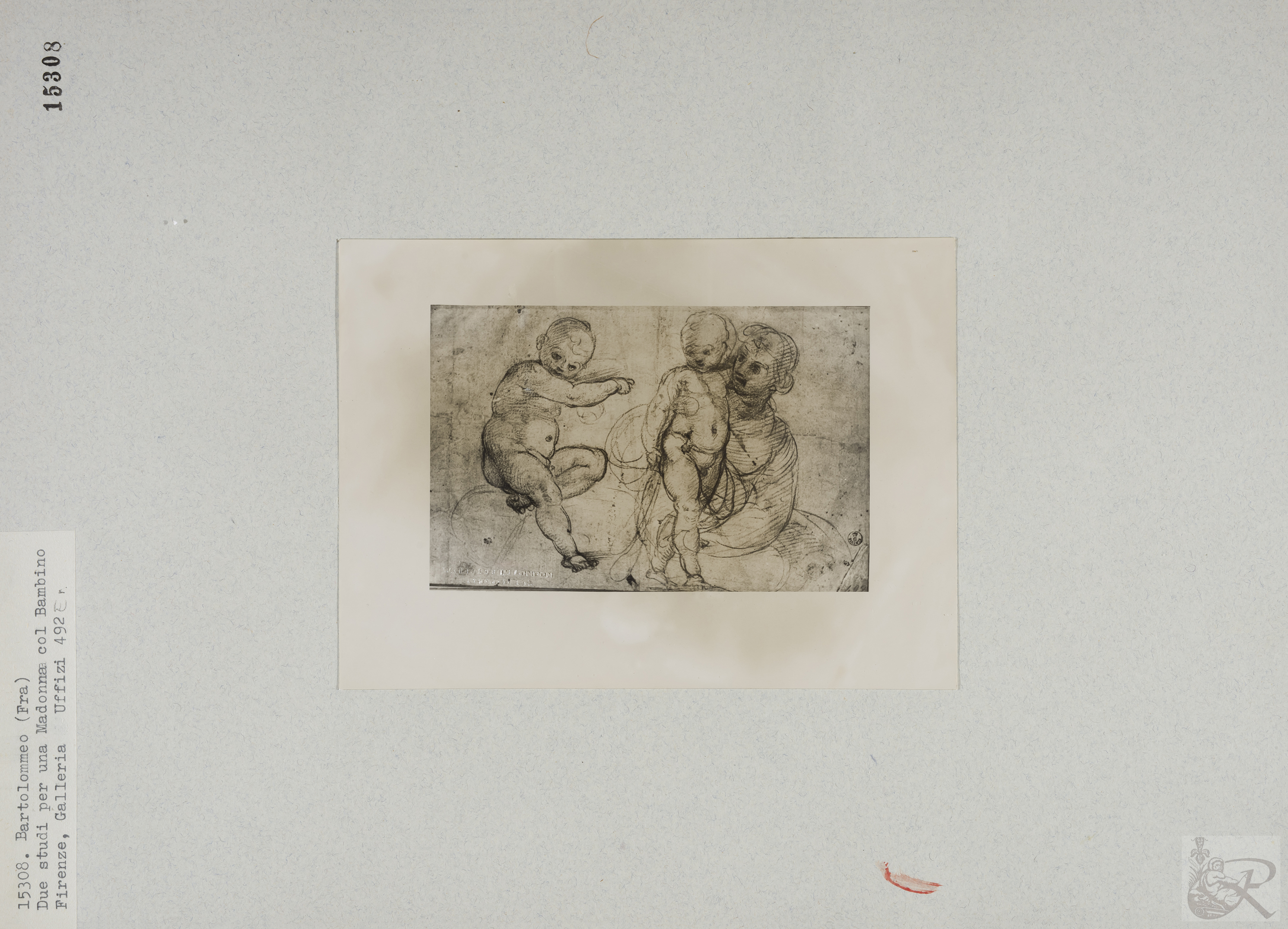 Immagine di anteprima