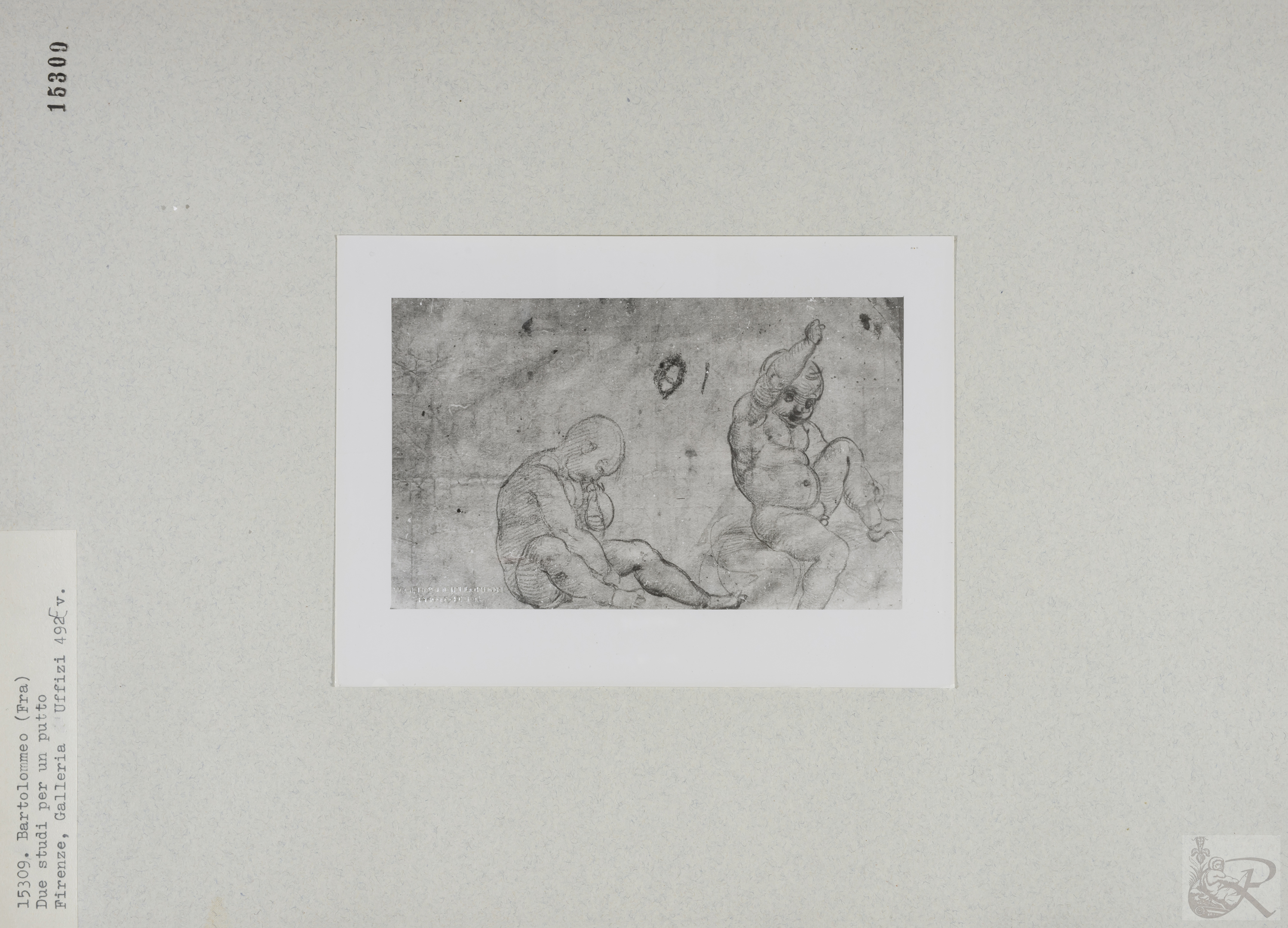 Immagine di anteprima