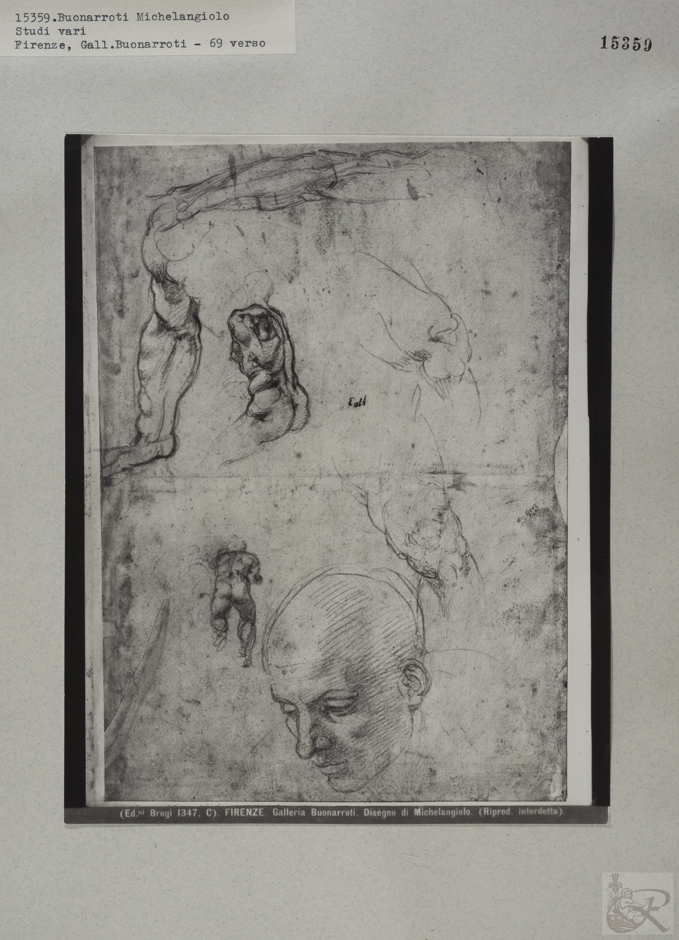 Immagine di anteprima