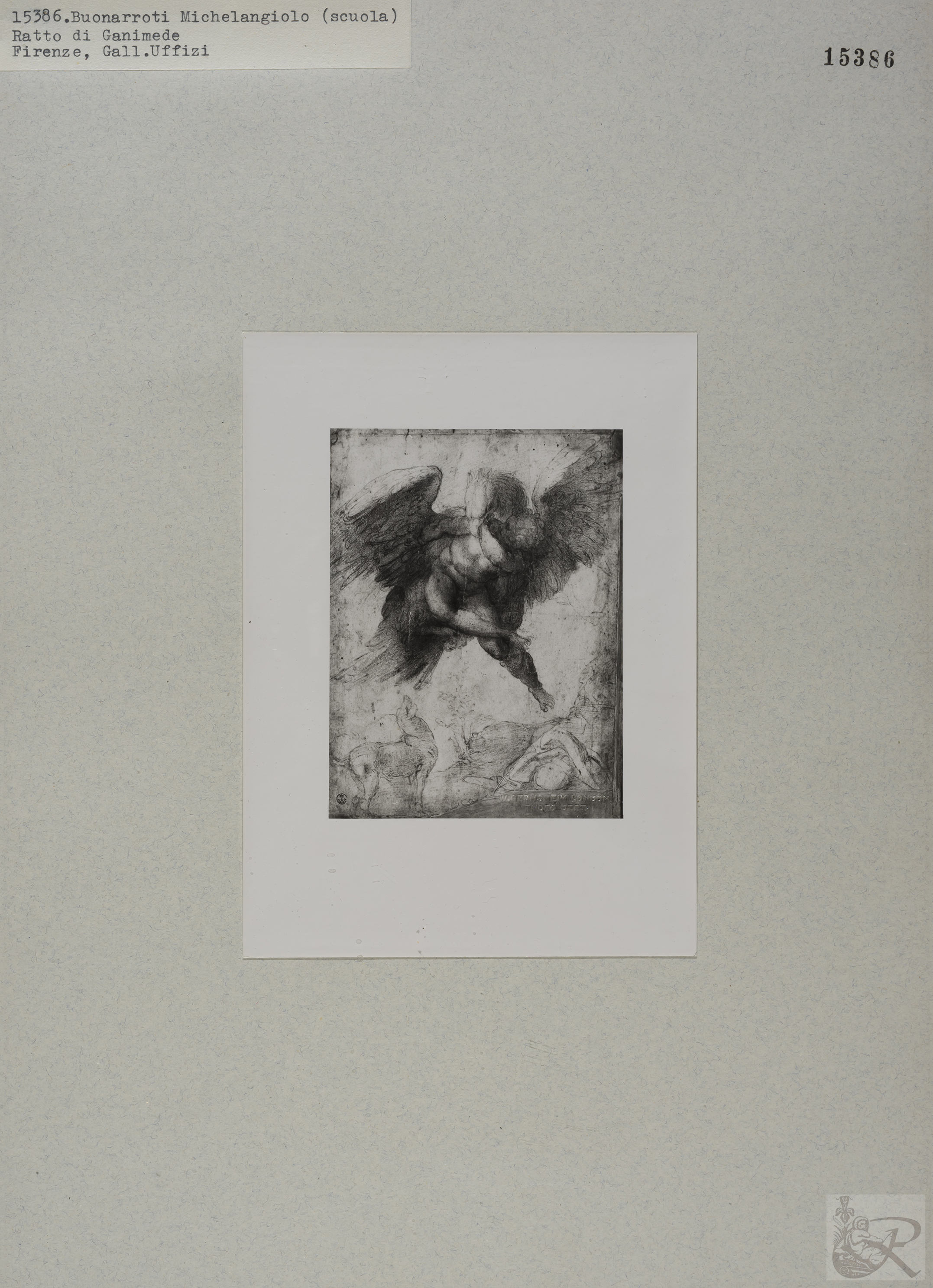 Immagine di anteprima