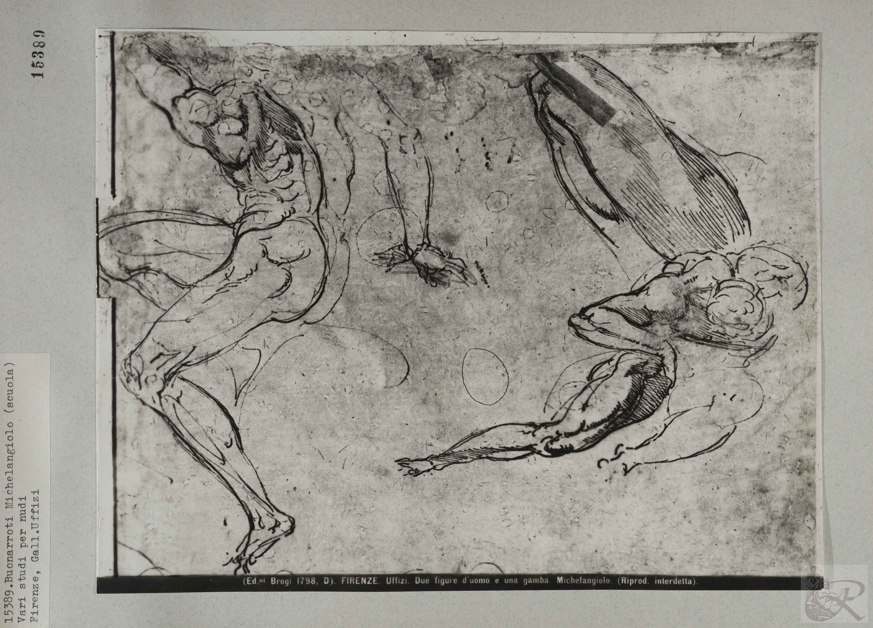 Immagine di anteprima