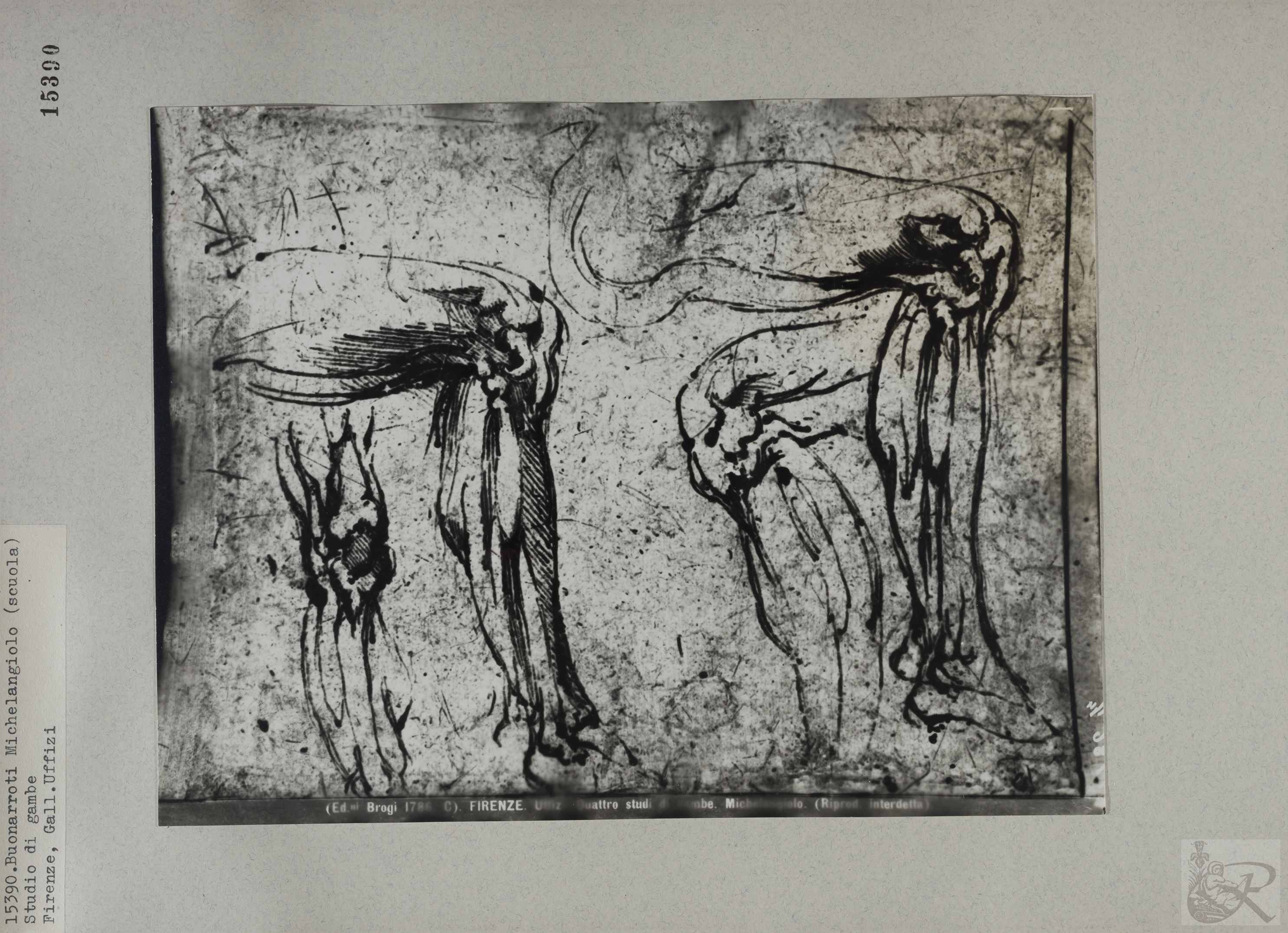 Immagine di anteprima