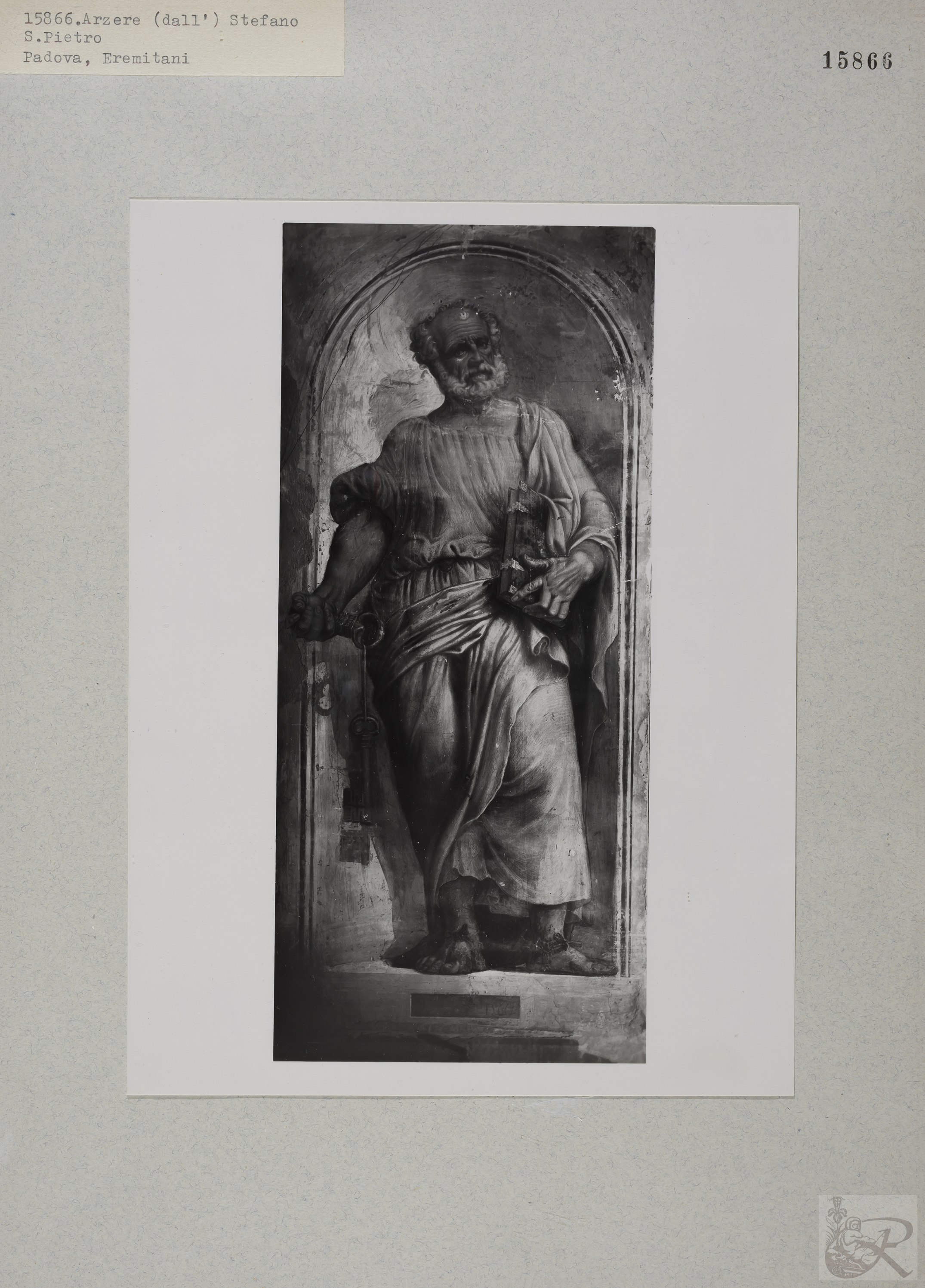 Immagine di anteprima