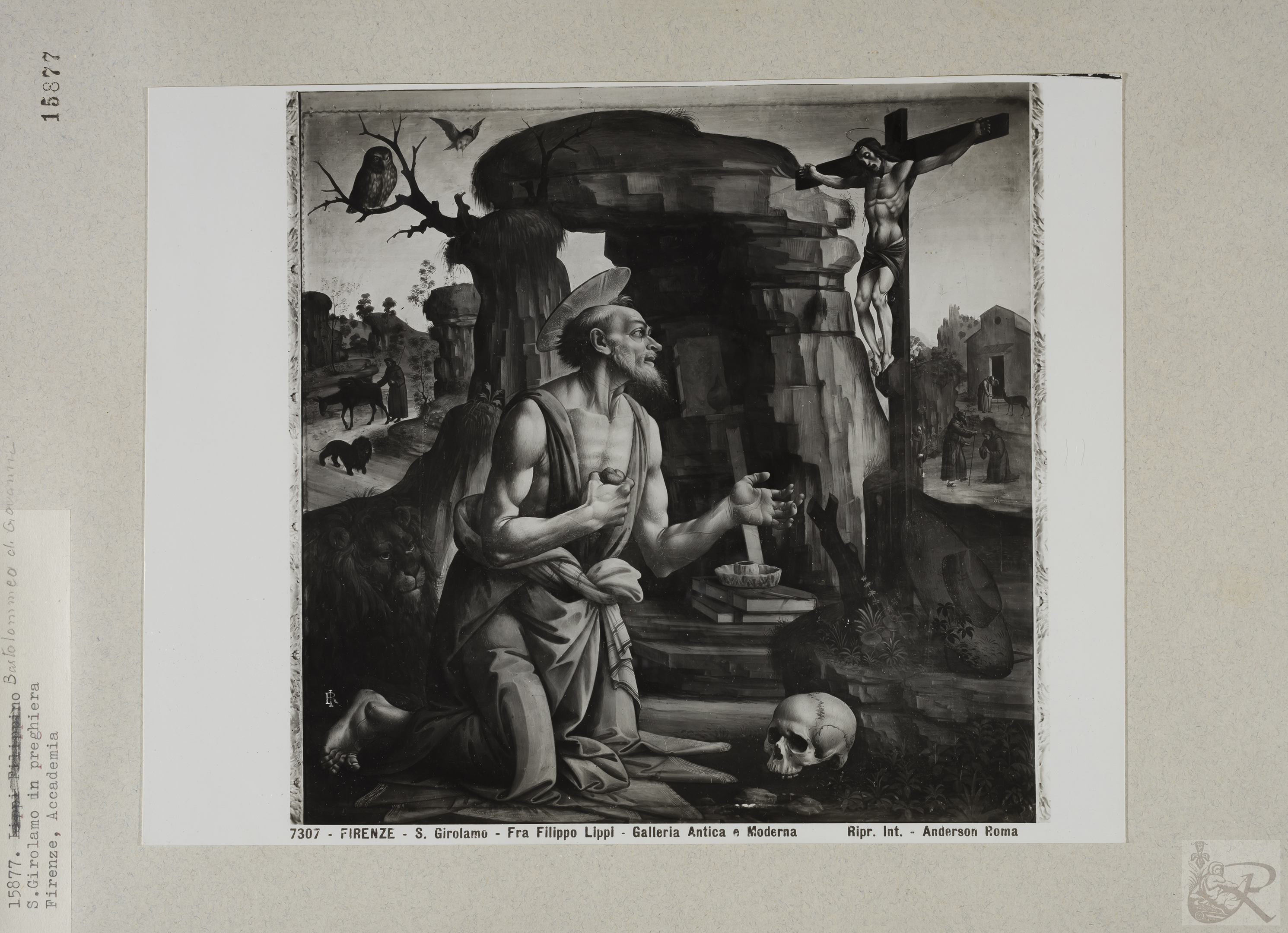 Immagine di anteprima