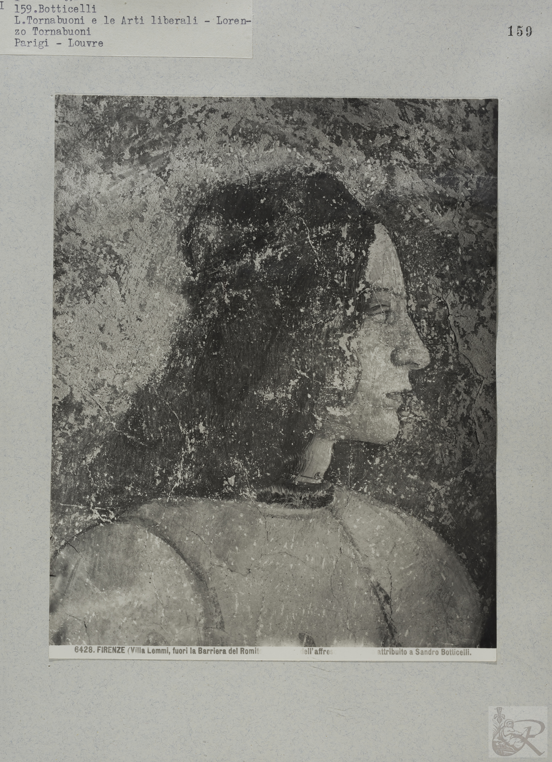 Immagine di anteprima