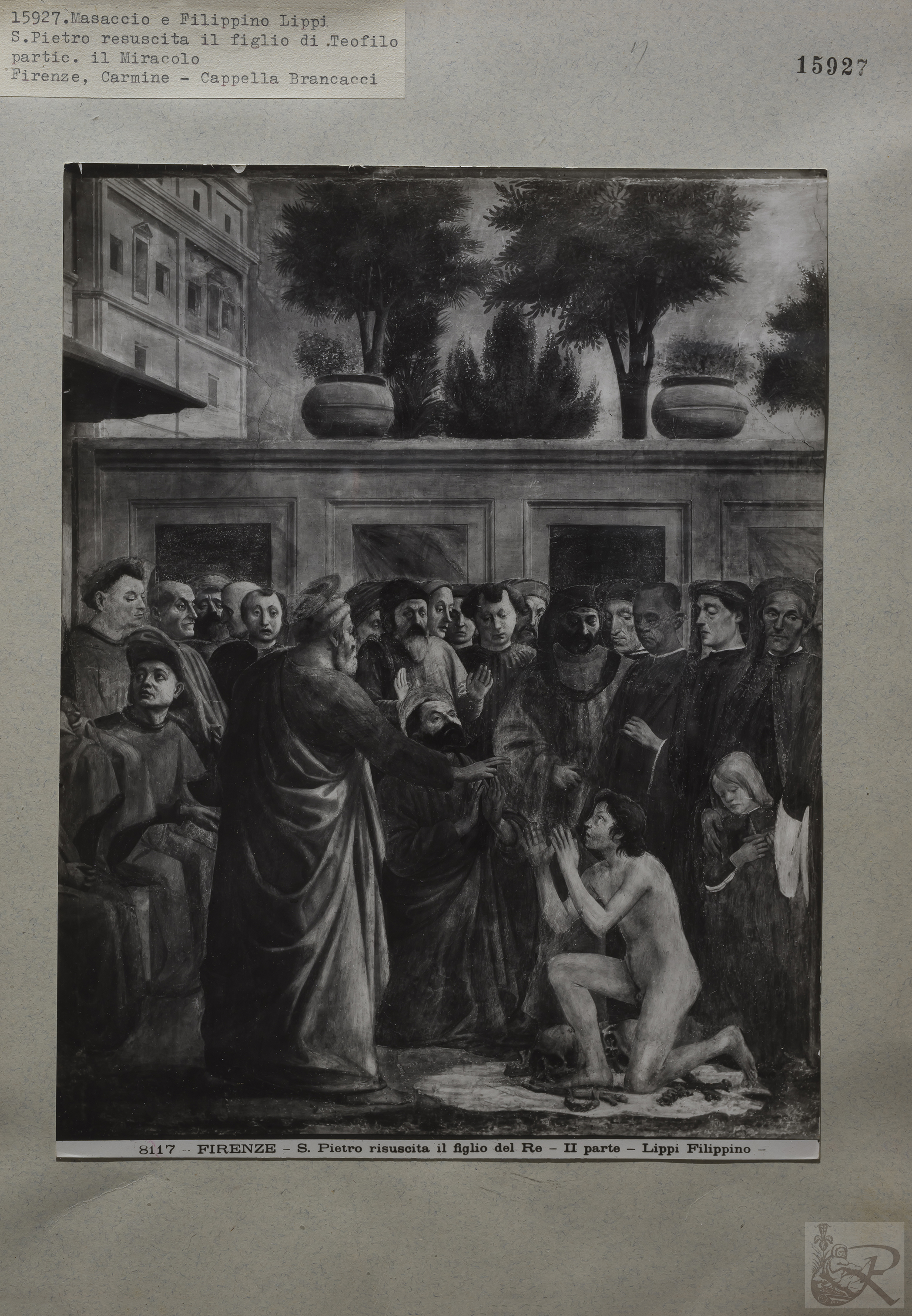 Immagine di anteprima