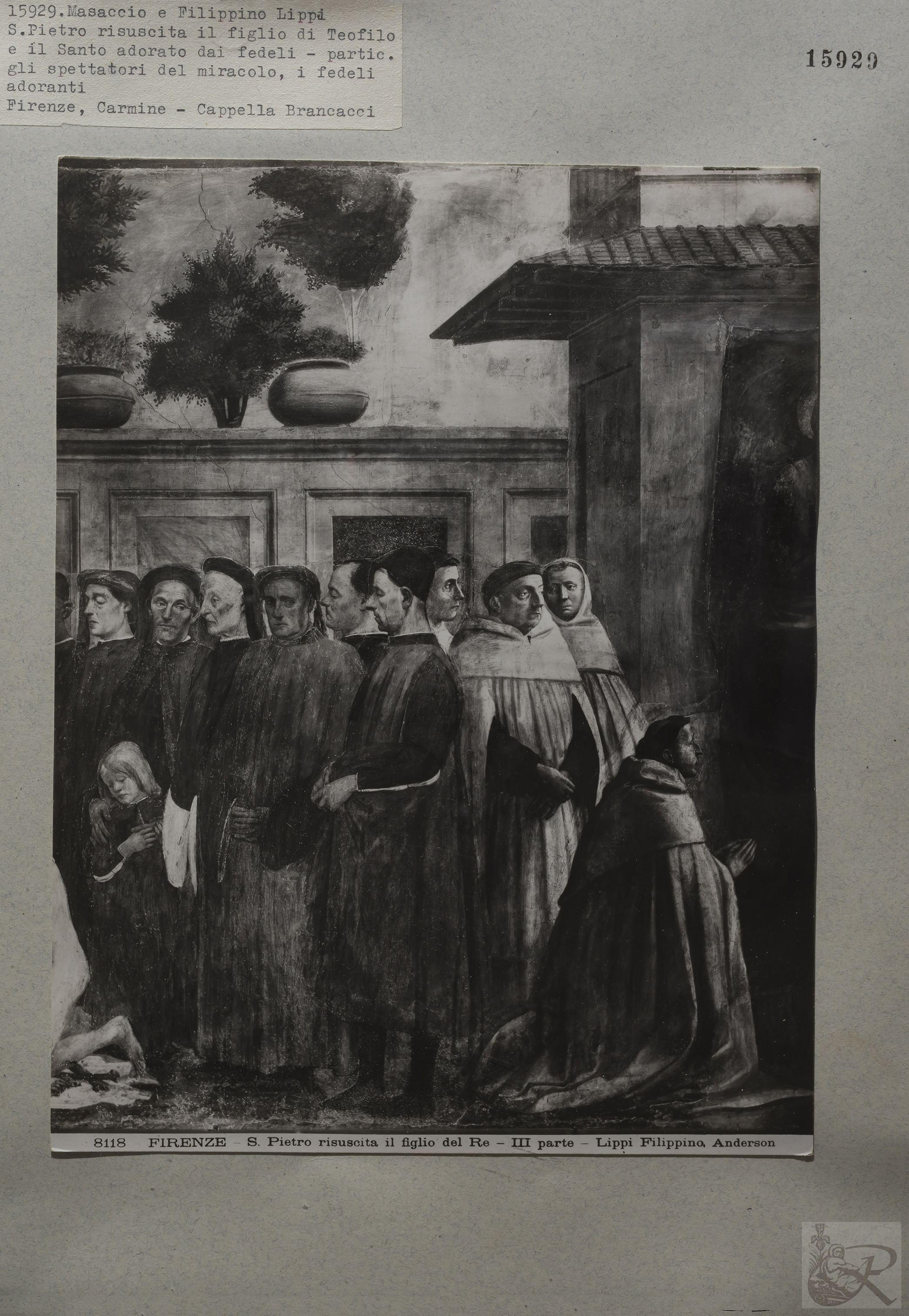 Immagine di anteprima