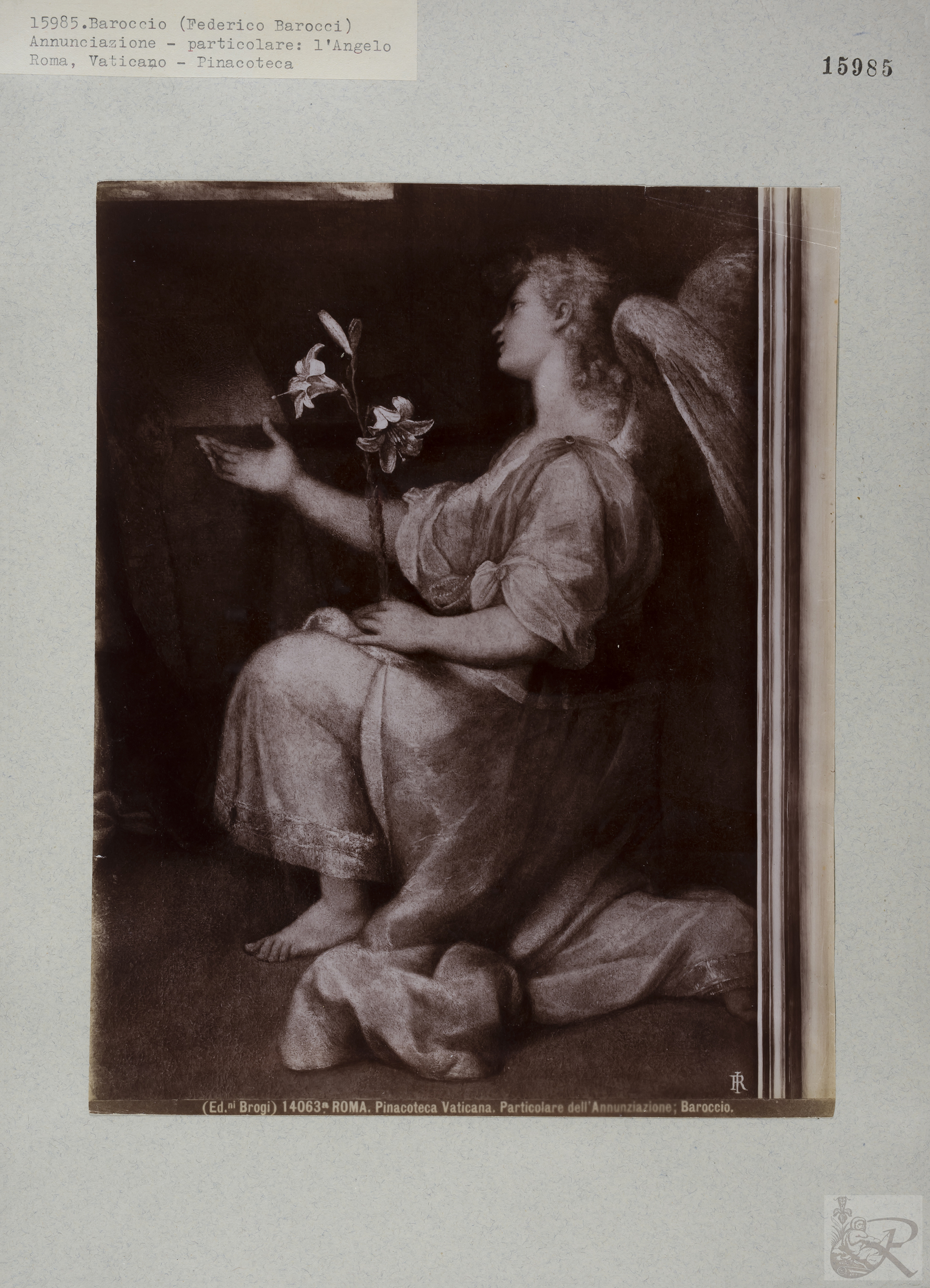 Immagine di anteprima