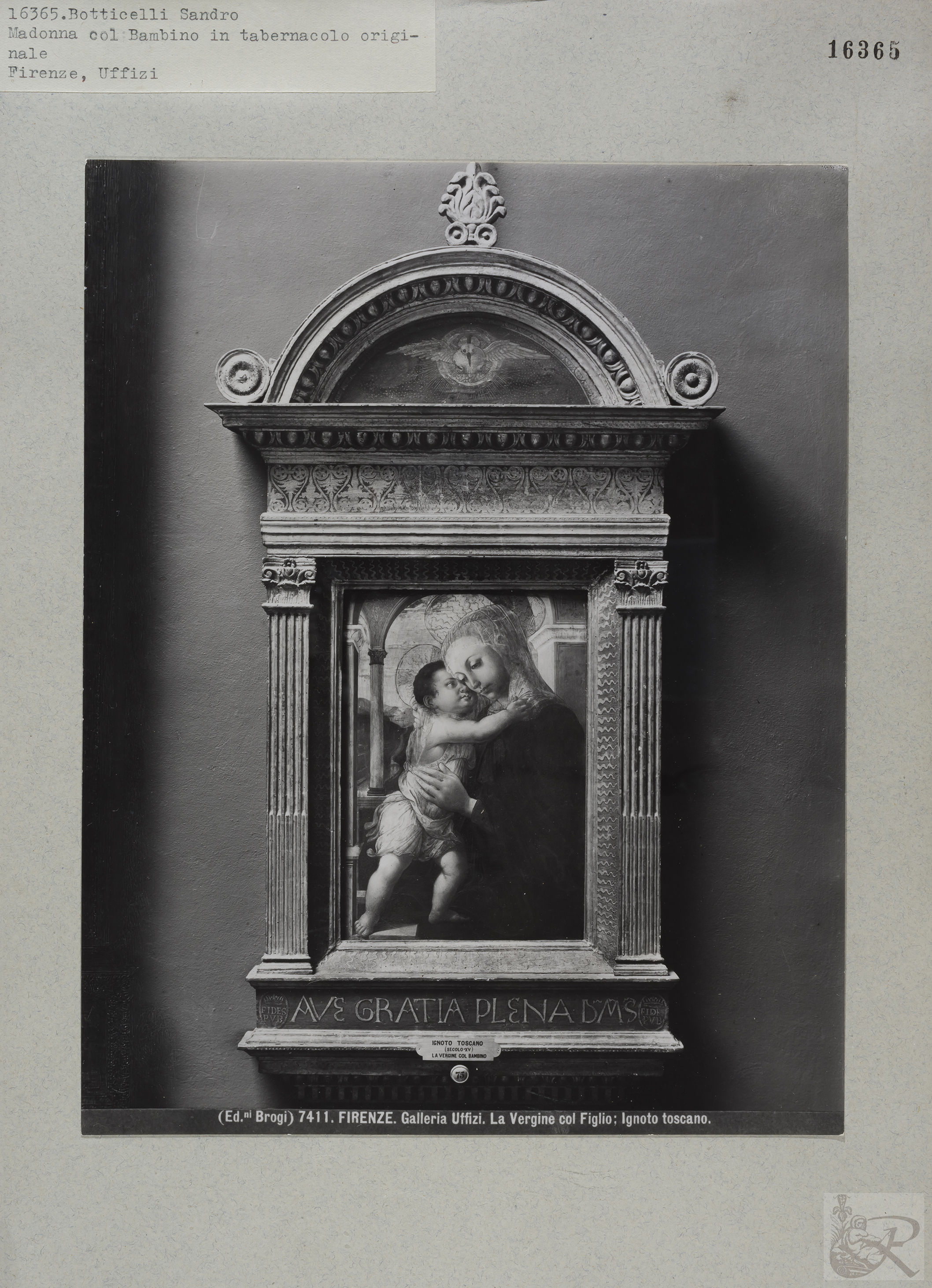 Immagine di anteprima