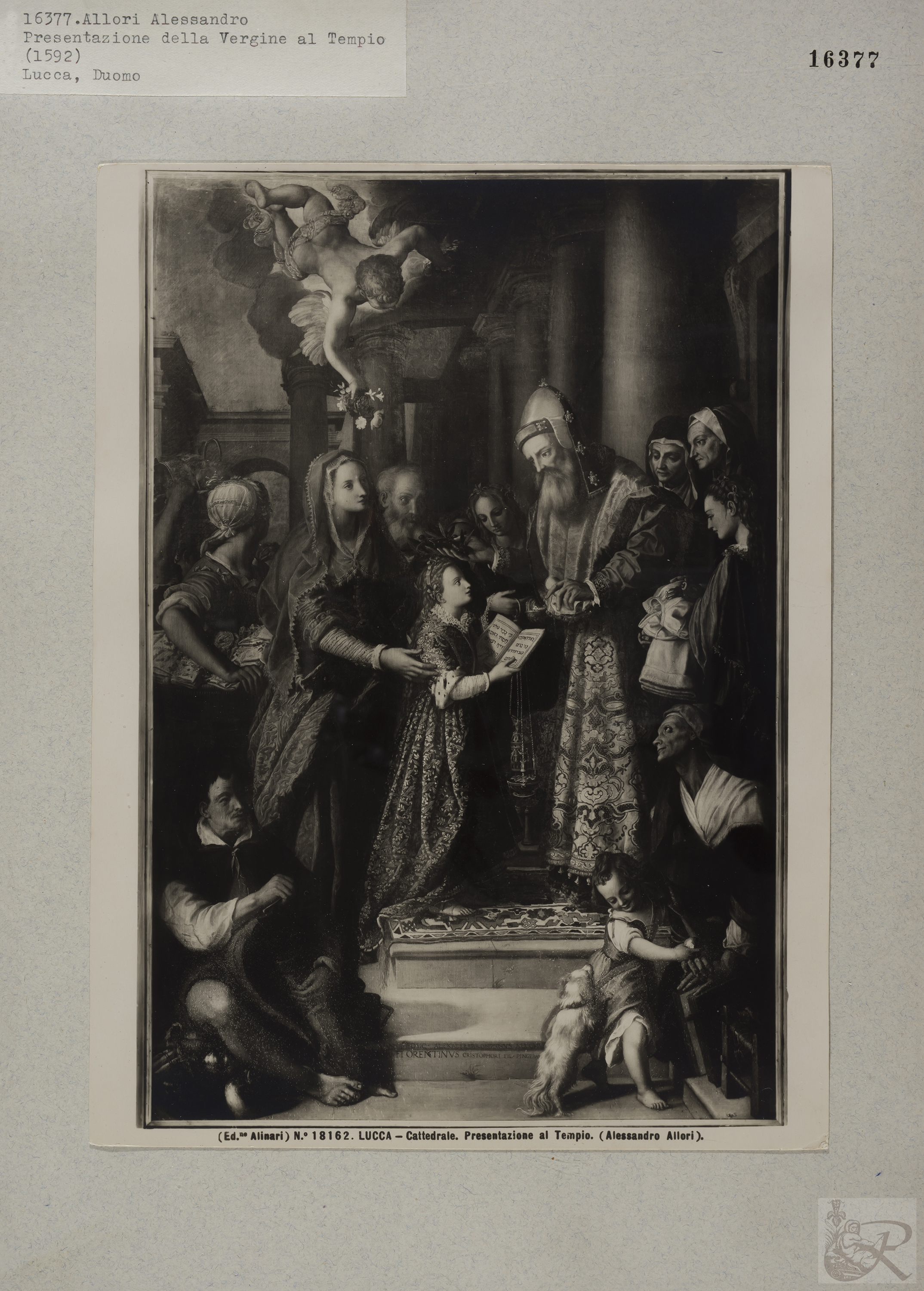 Immagine di anteprima