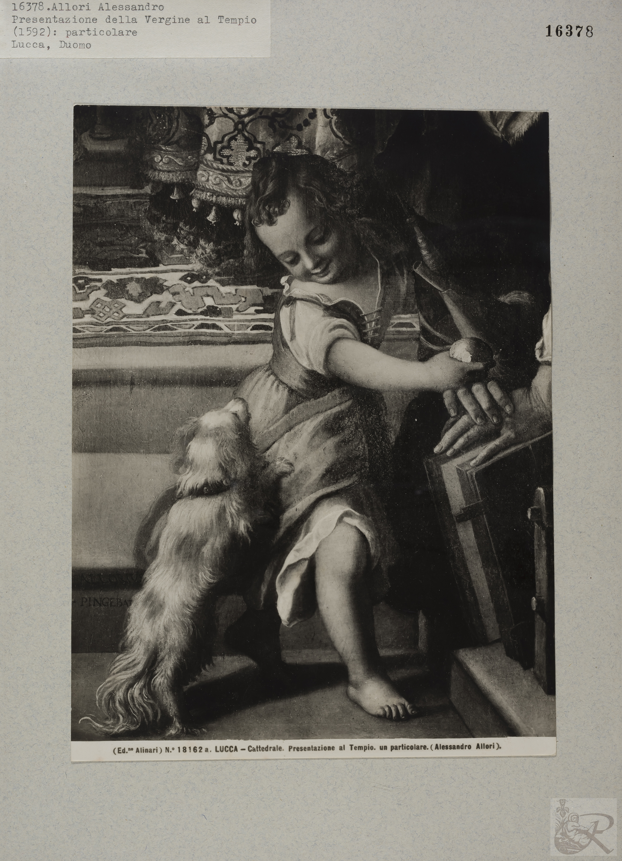 Immagine di anteprima