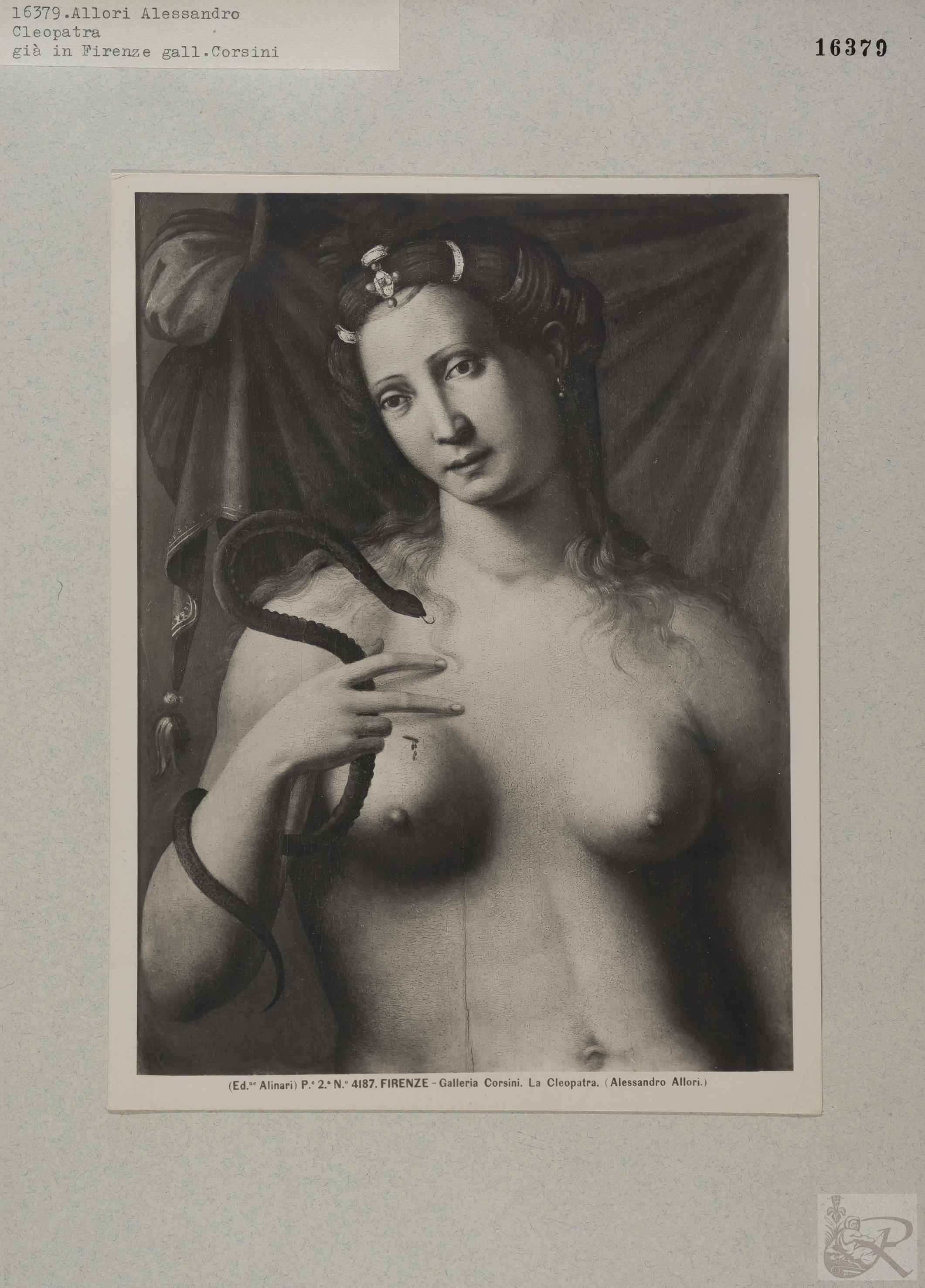 Immagine di anteprima