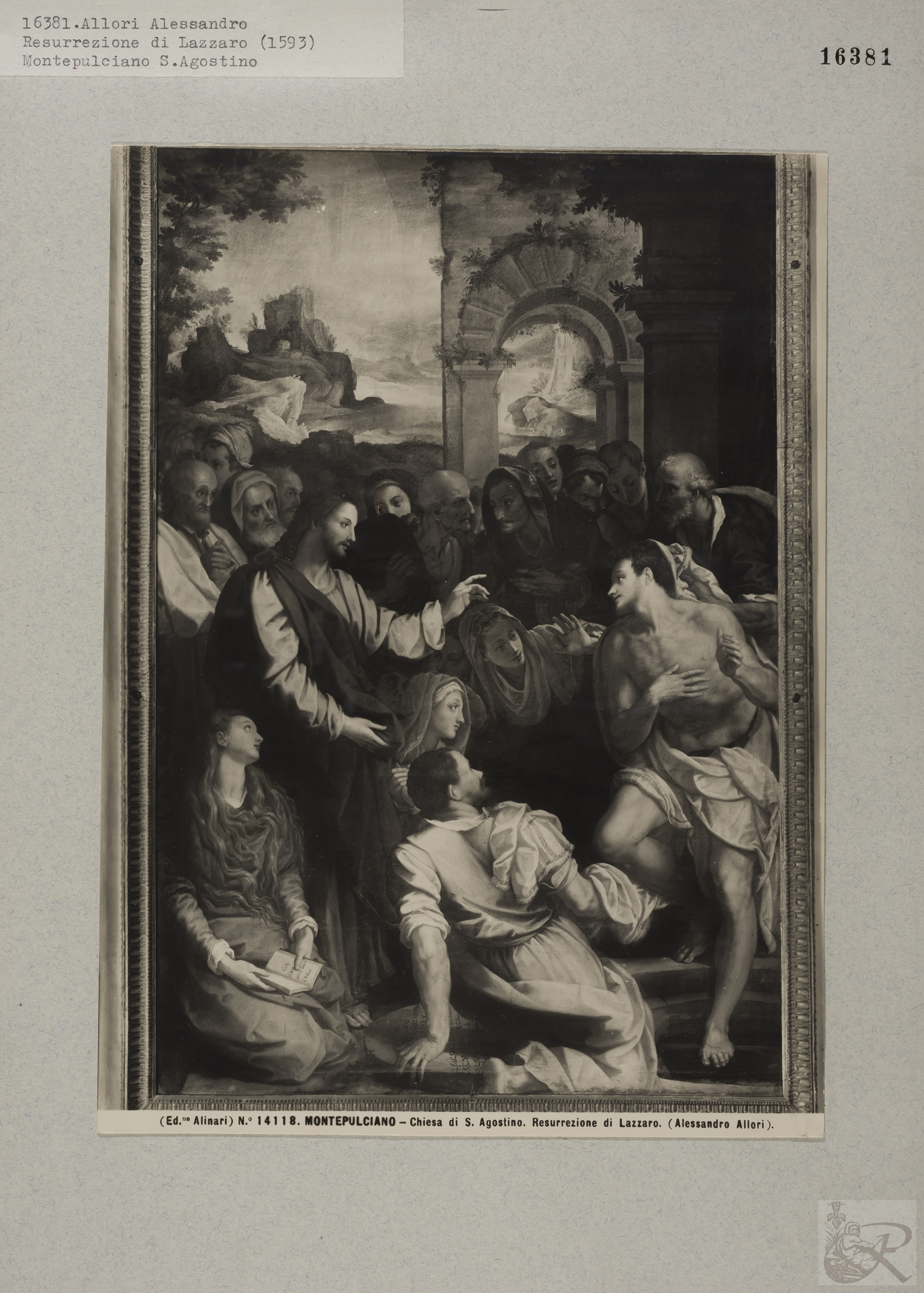 Immagine di anteprima