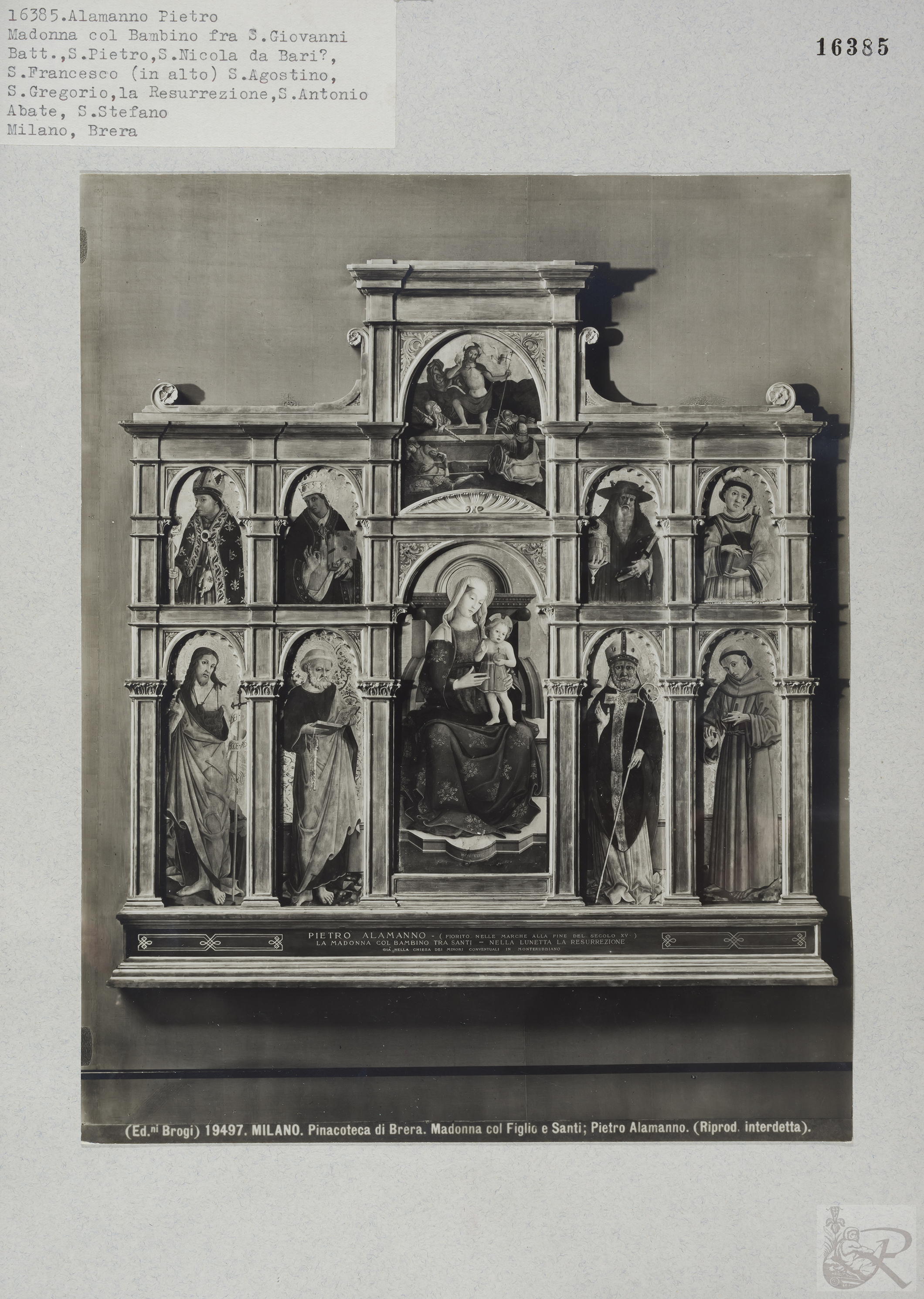 Immagine di anteprima