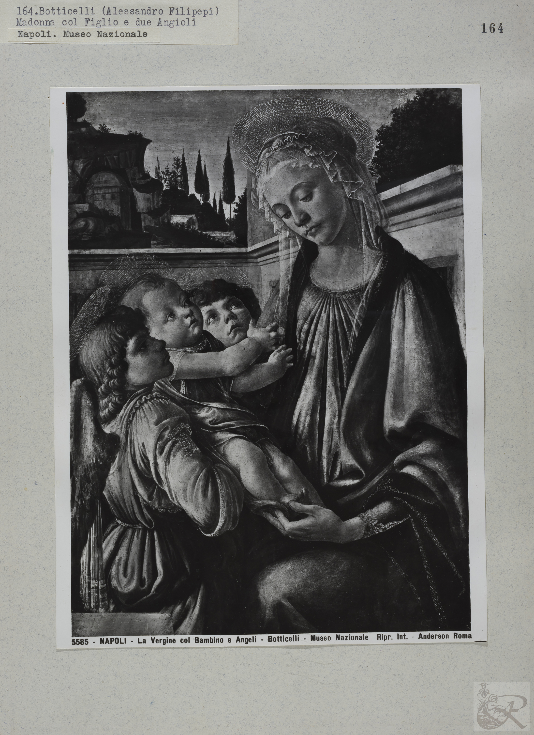 Immagine di anteprima