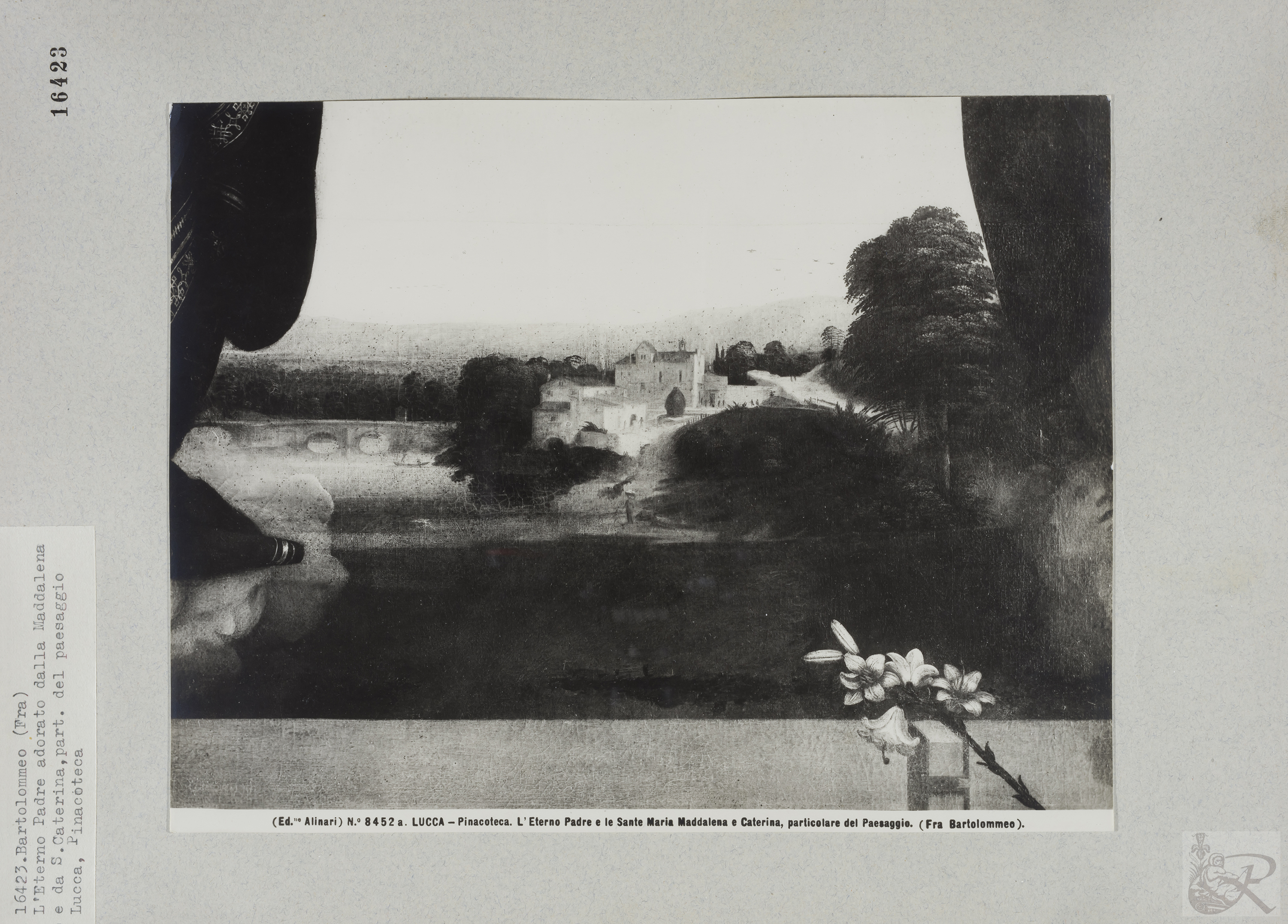 Immagine di anteprima