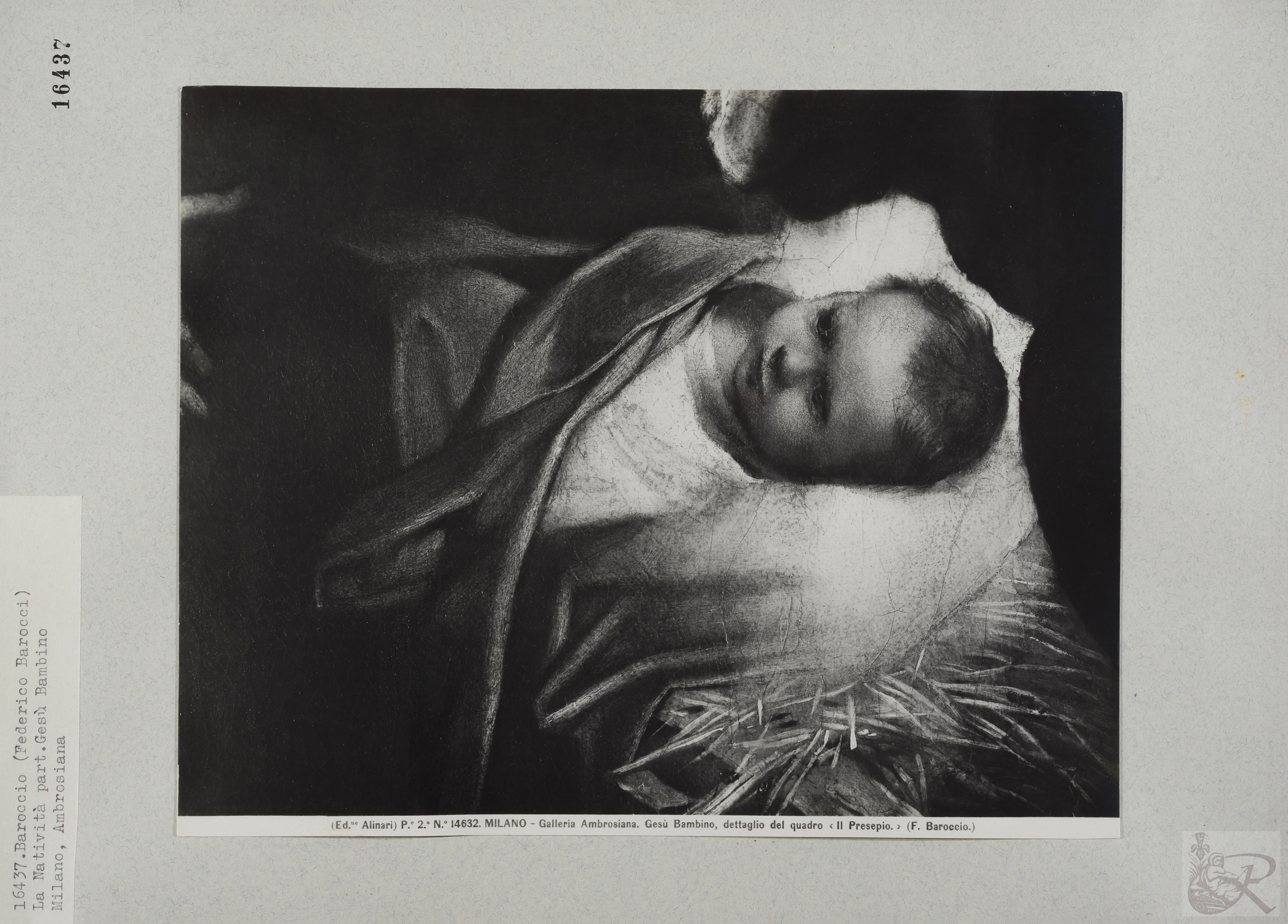 Immagine di anteprima