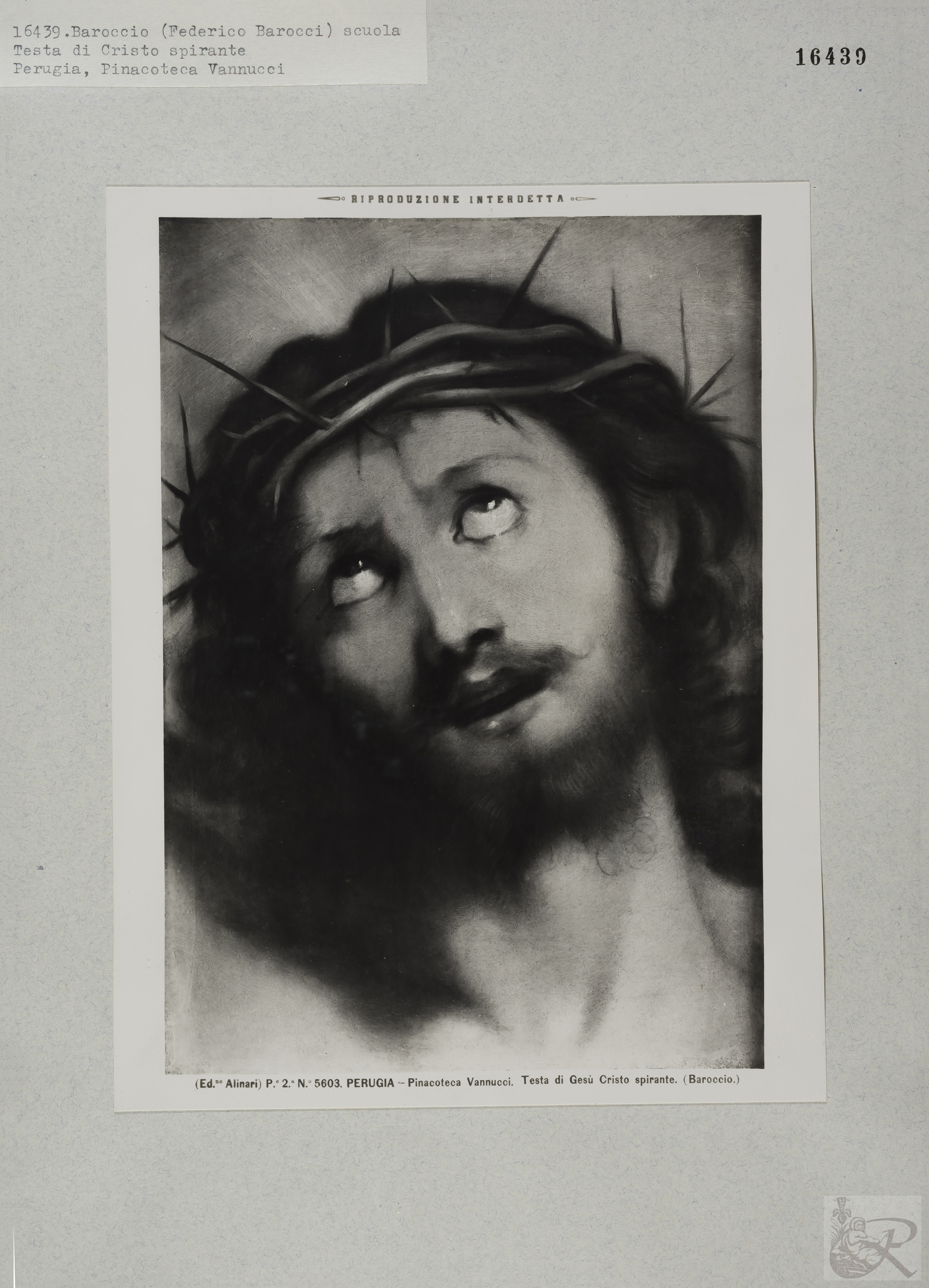 Immagine di anteprima