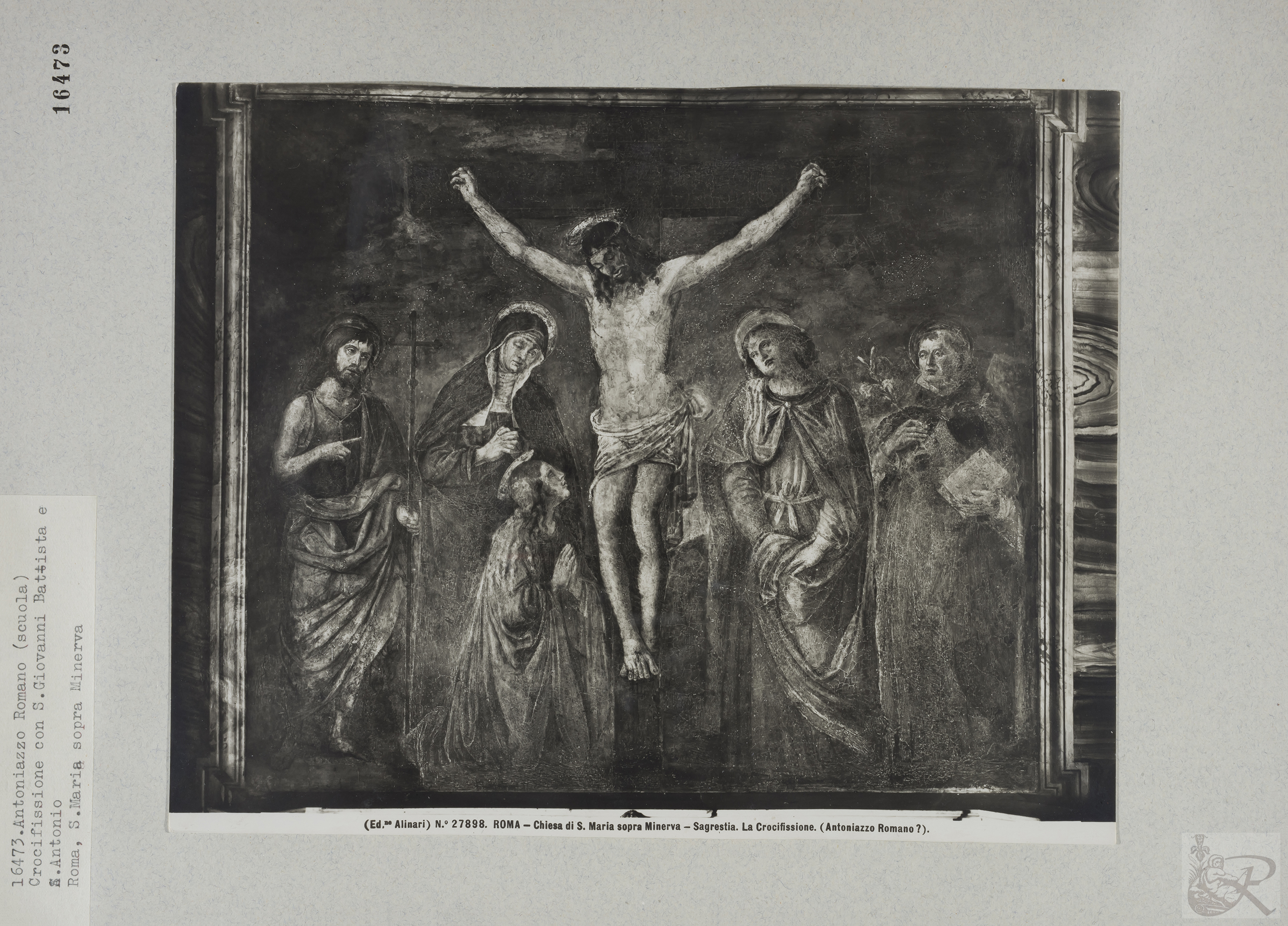 Immagine di anteprima