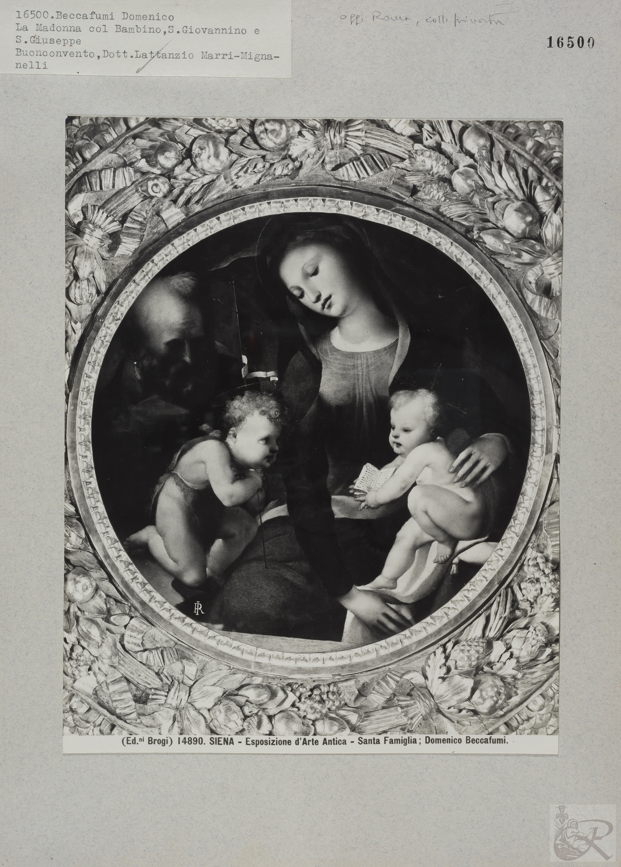 Immagine di anteprima